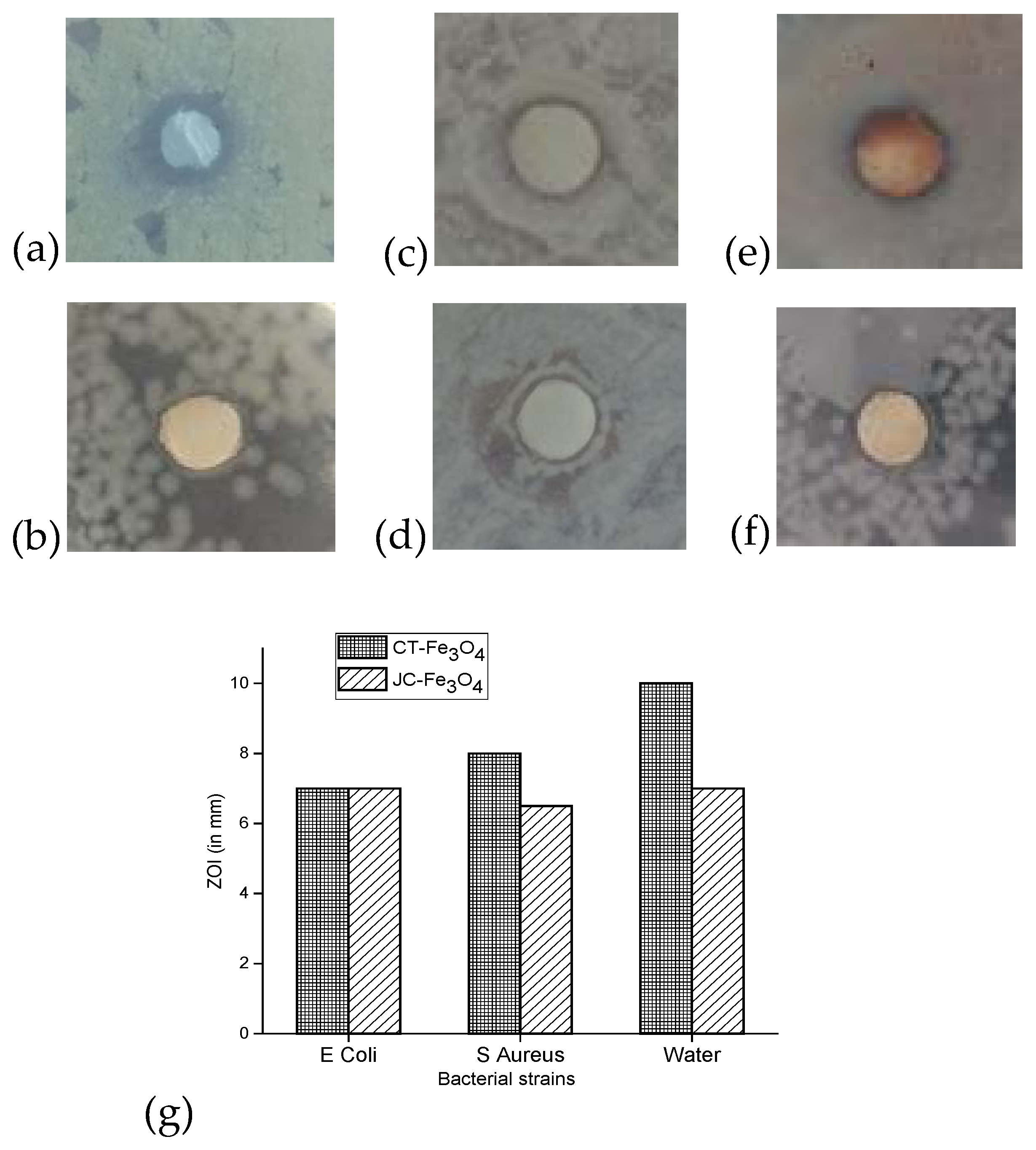 Nanomaterials 10 01615 g010 Nanomaterials 10 01615 g010