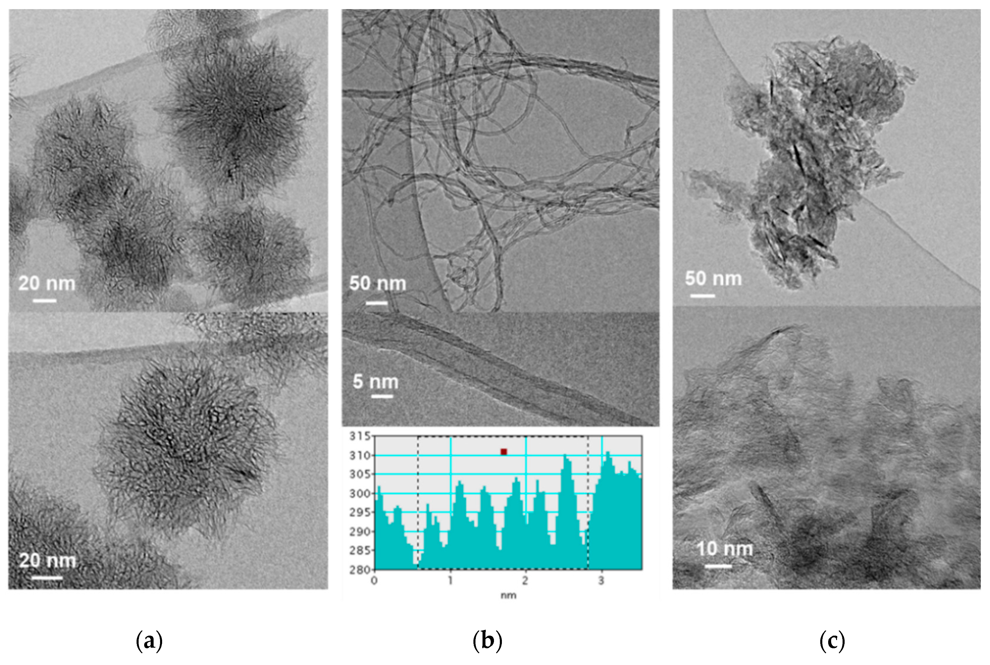 Nanomaterials 10 01617 g001a