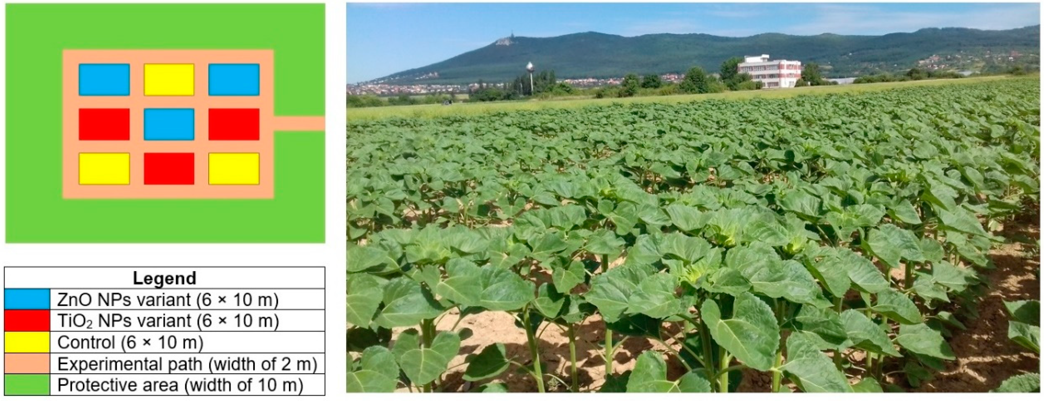 Nanomaterials 10 01619 g001