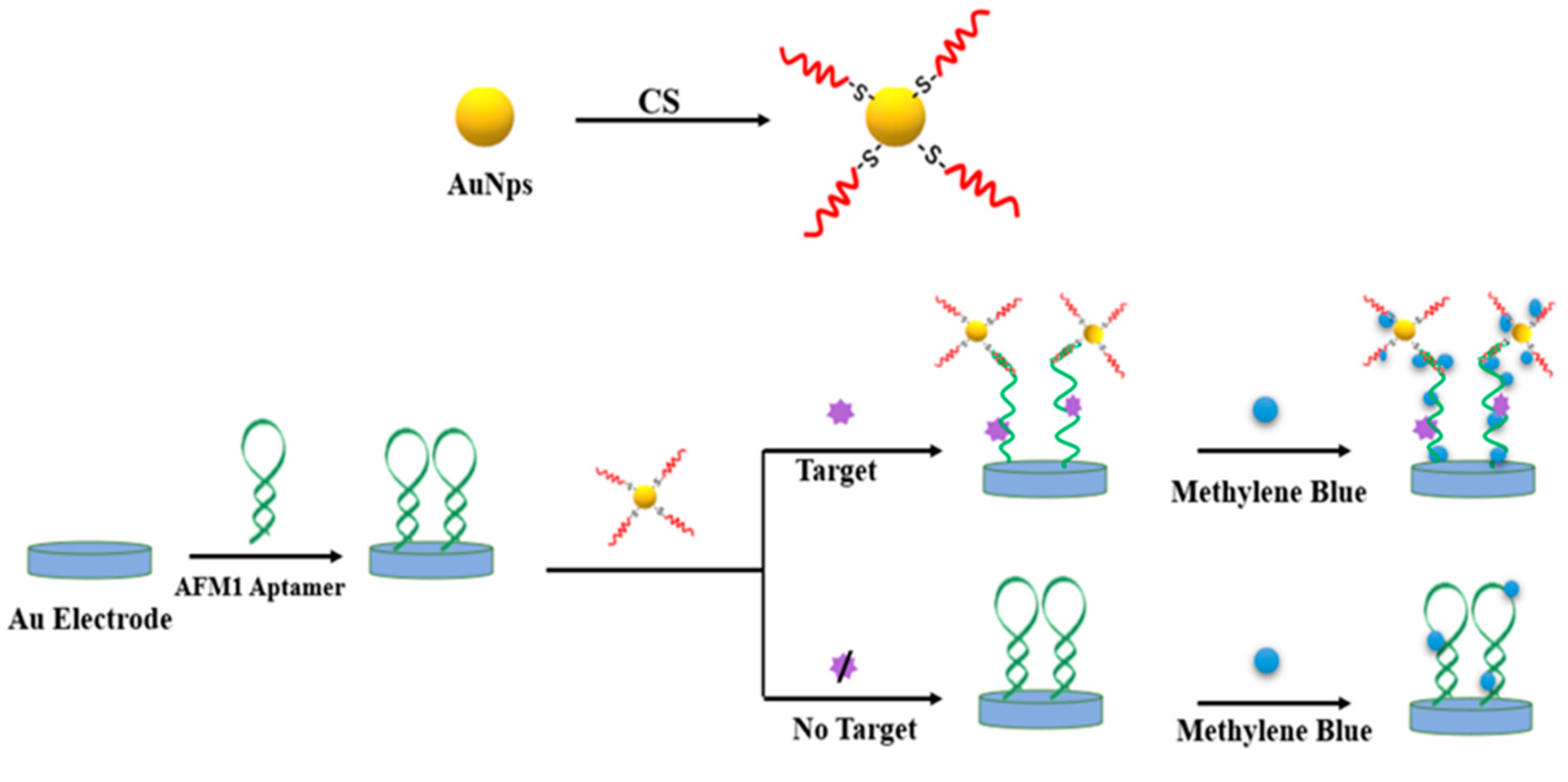Nanomaterials 10 01626 g002 Nanomaterials 10 01626 g002