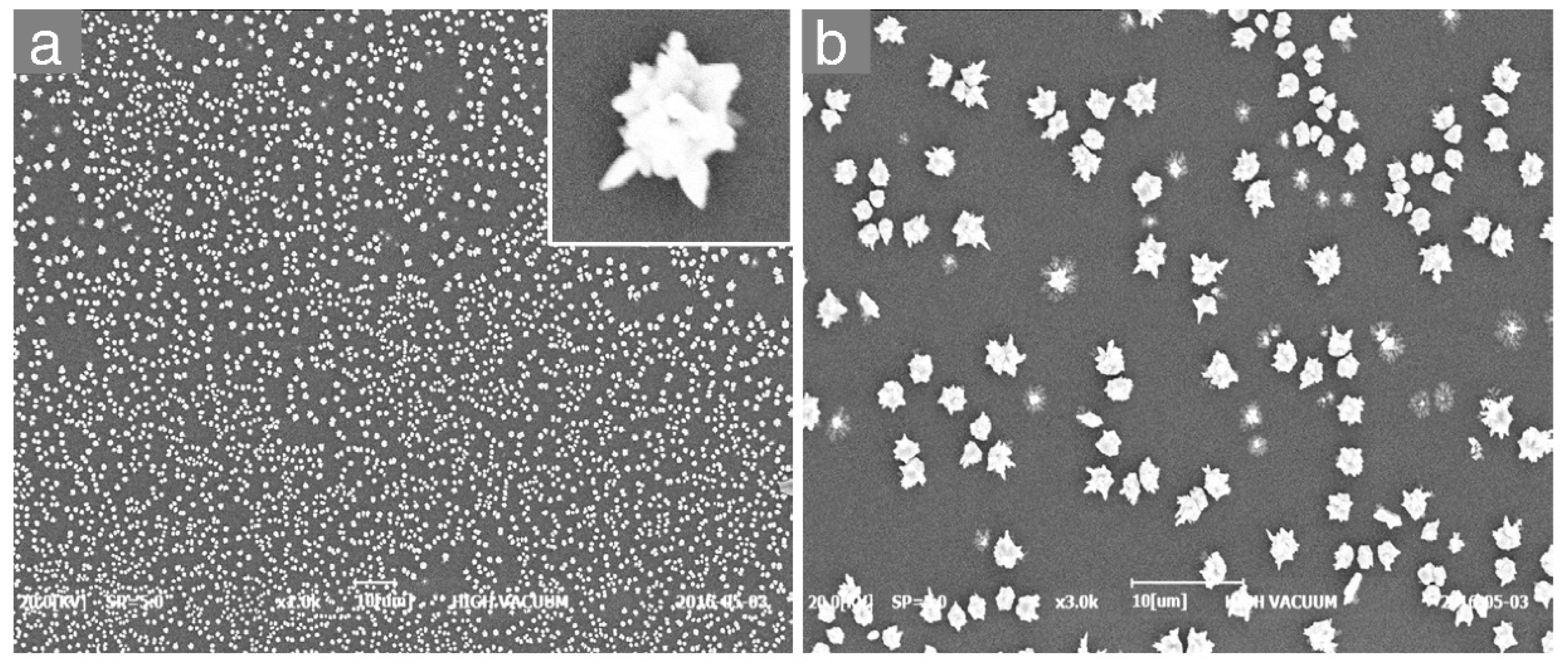 Nanomaterials 10 01628 g002