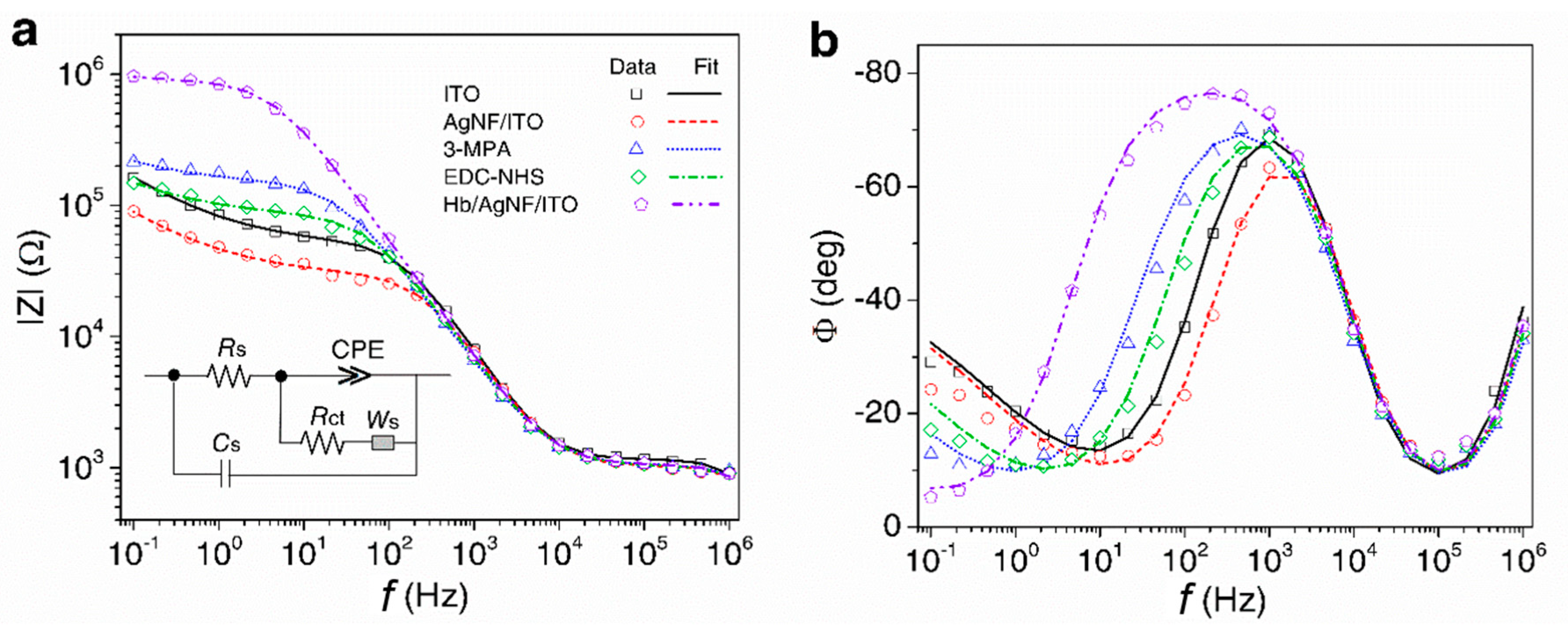 Nanomaterials 10 01628 g004
