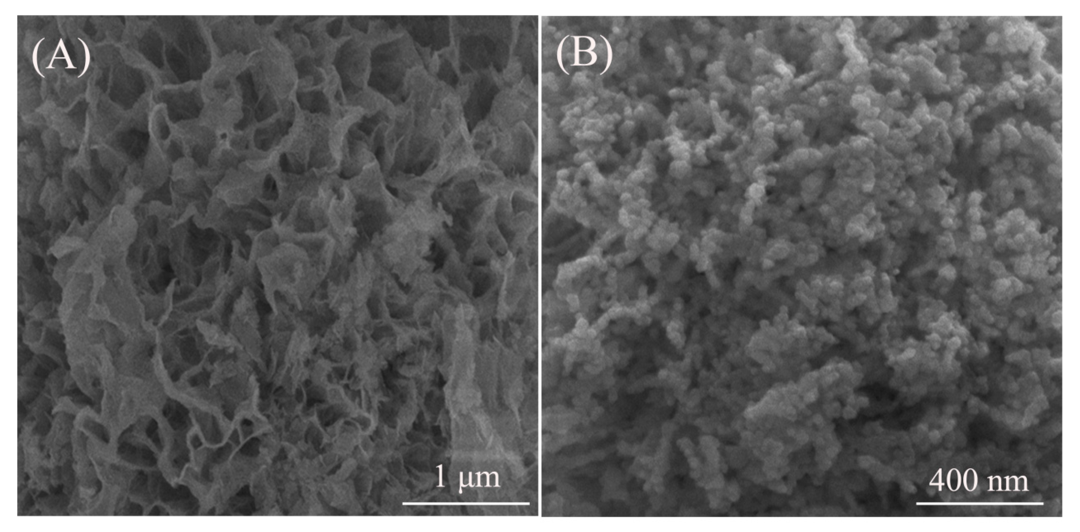 Nanomaterials 10 01639 g002