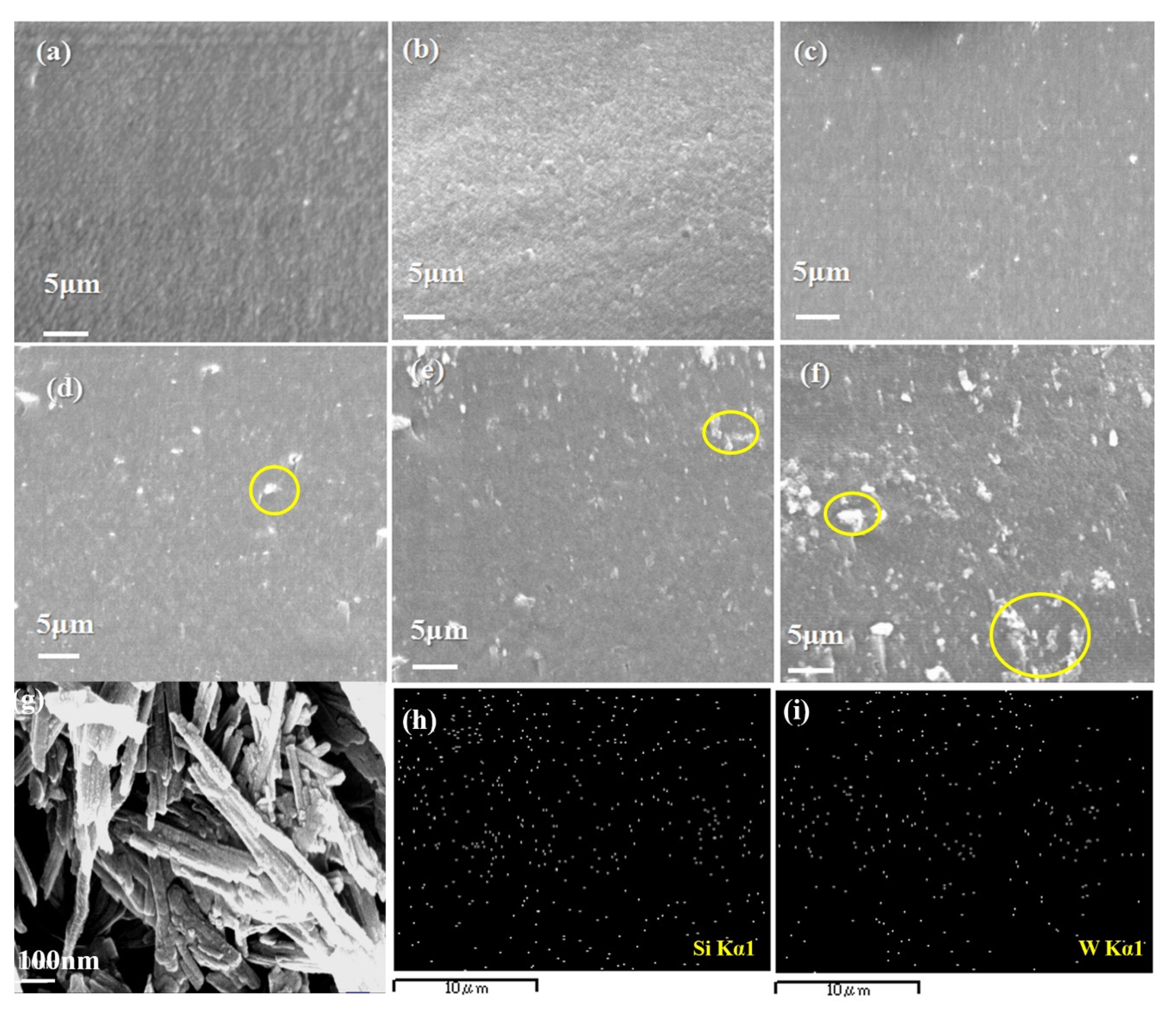 Nanomaterials 10 01641 g003