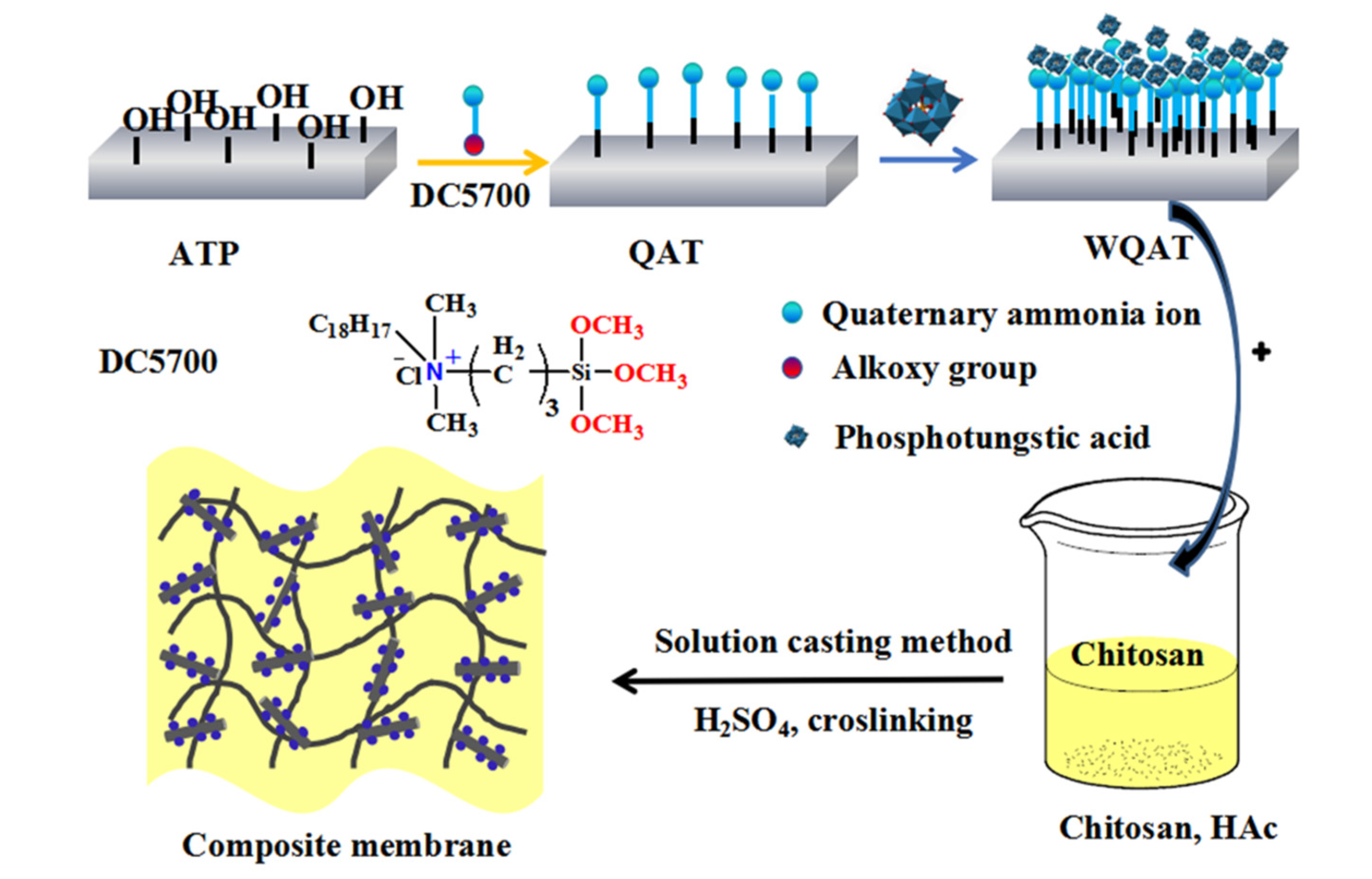 Nanomaterials 10 01641 sch001