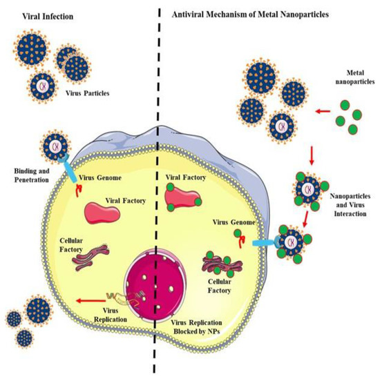 アミン ララ・ライ Akari L7 Ceiling Lamp – LunrLighting