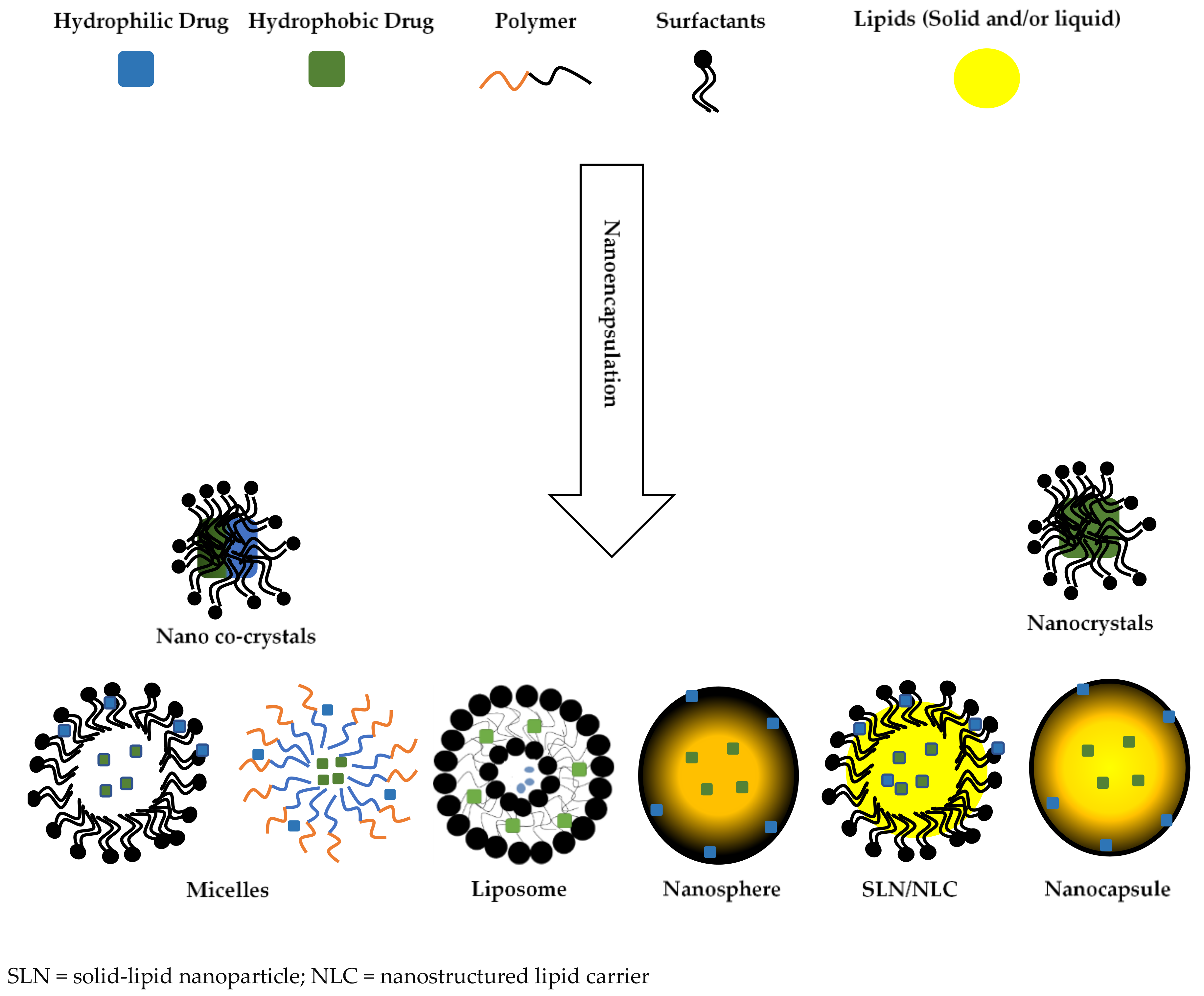 Nanomaterials Free Full Text Biocompatibility Of Biomaterials For Nanoencapsulation Current Approaches Html