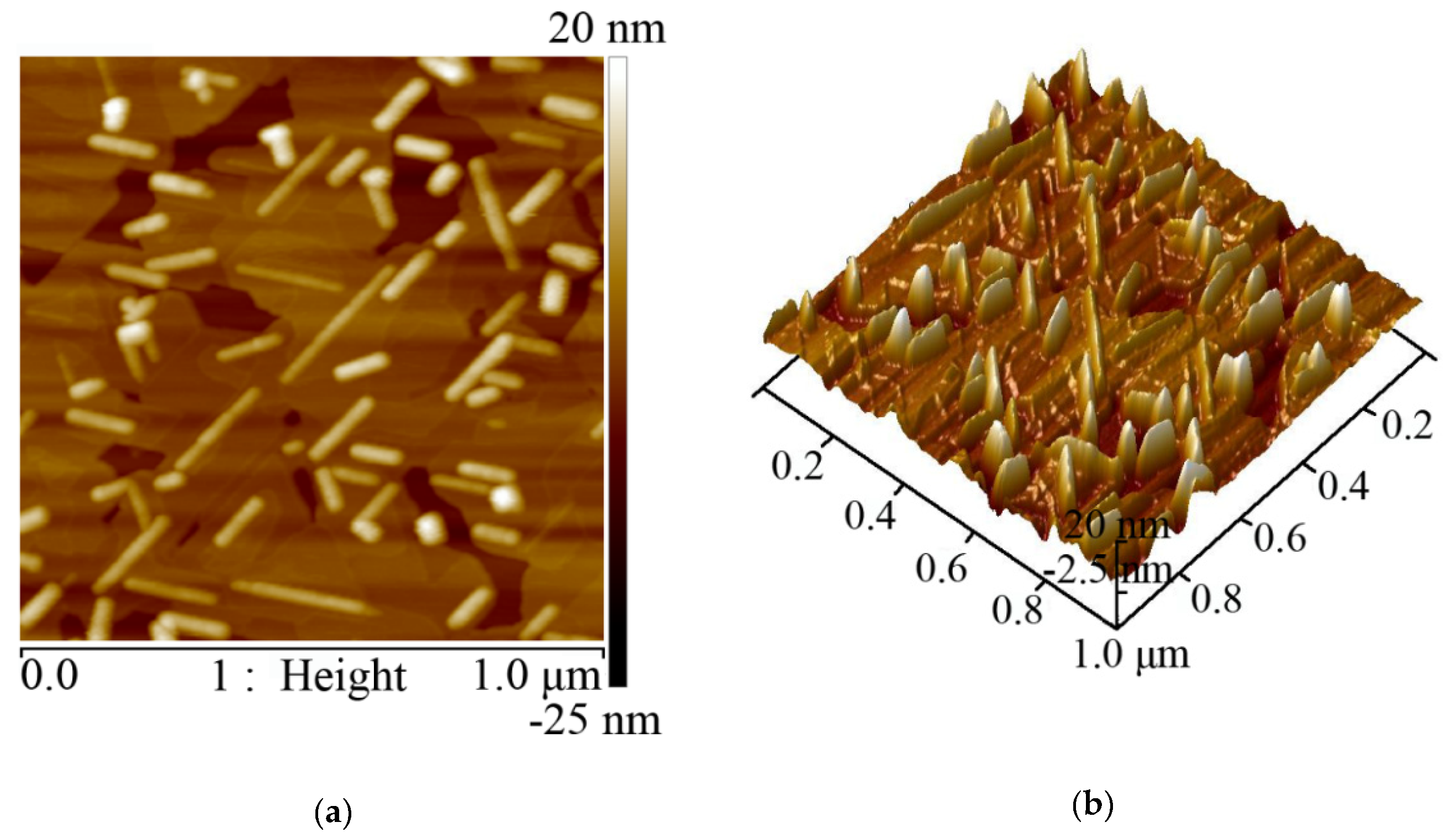 Nanomaterials 10 01653 g002