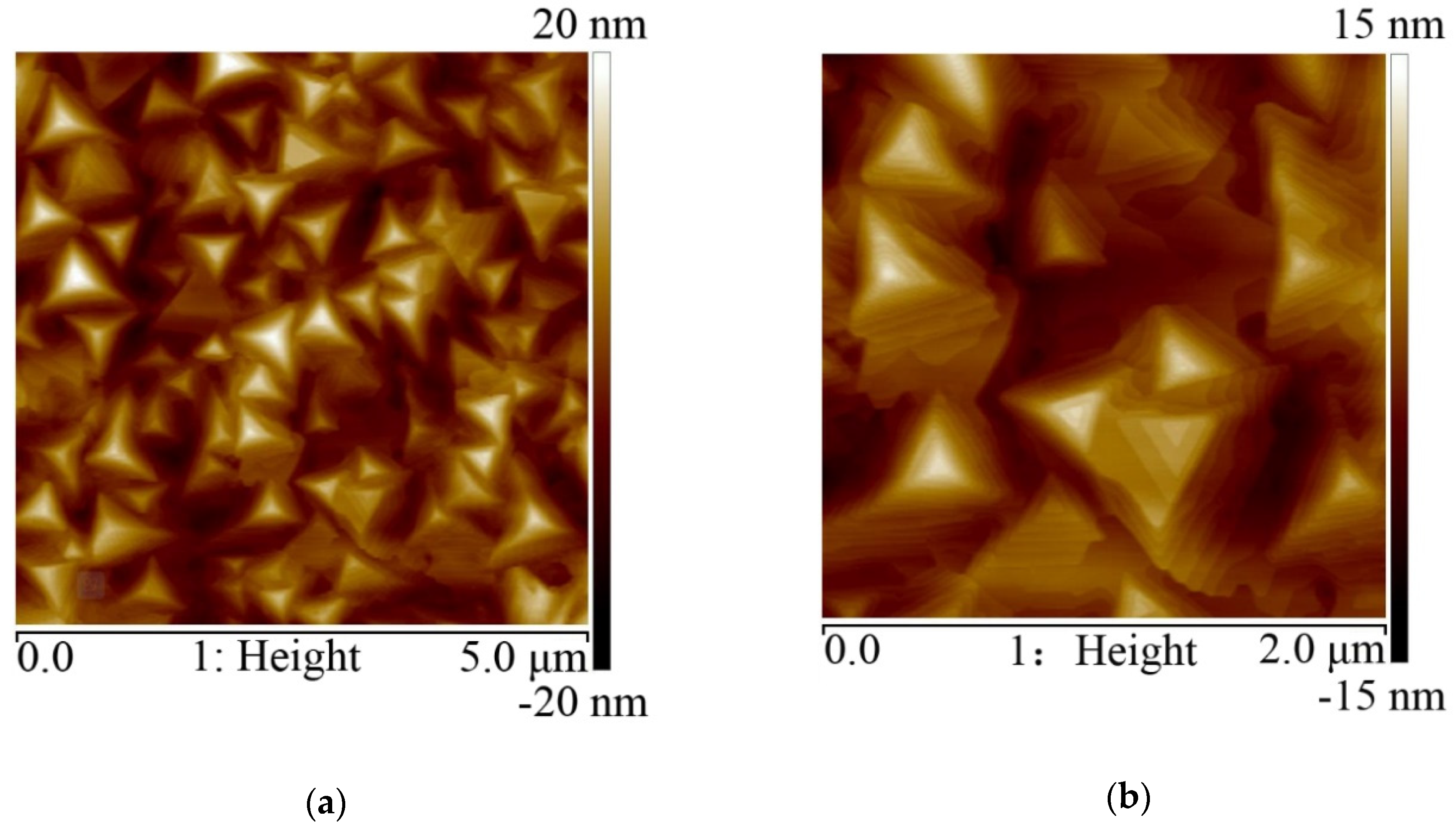 Nanomaterials 10 01653 g005