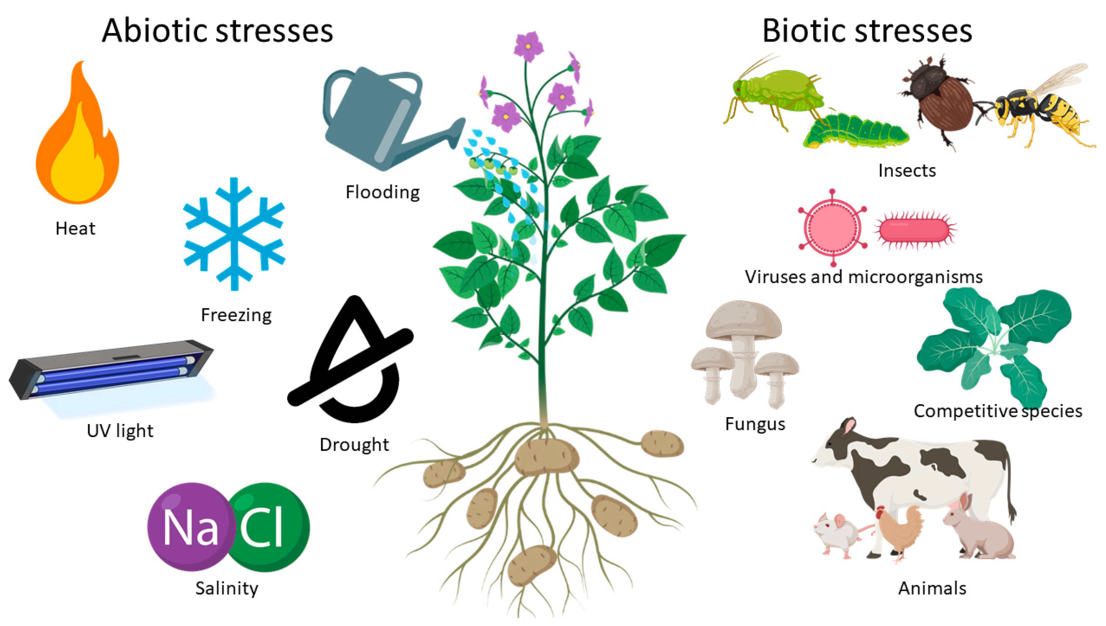 Nanomaterials 10 01654 g004 Nanomaterials 10 01654 g004