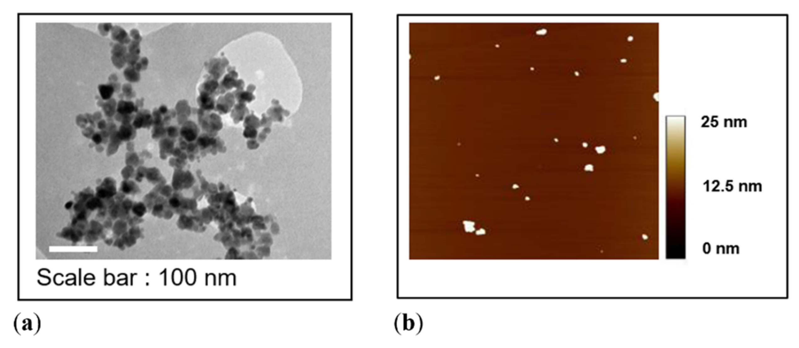 Nanomaterials 10 01660 g002 Nanomaterials 10 01660 g002