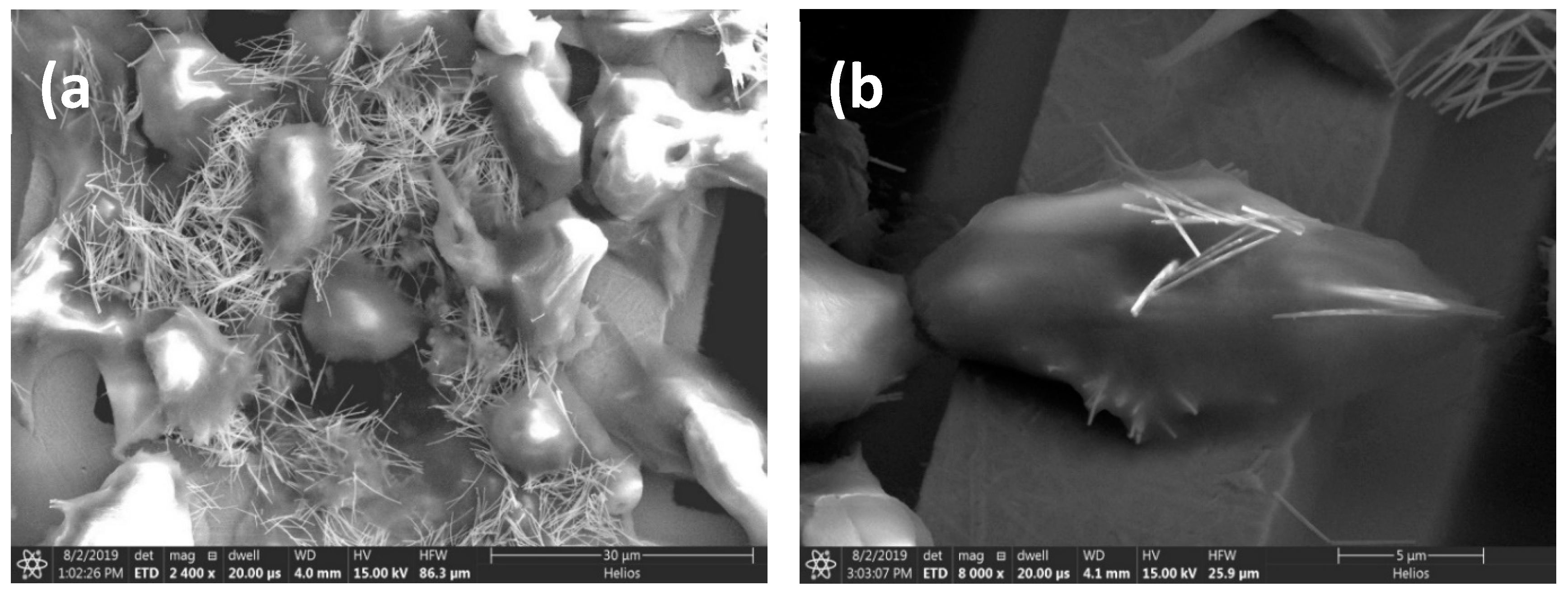 Nanomaterials 10 01662 g003 Nanomaterials 10 01662 g003