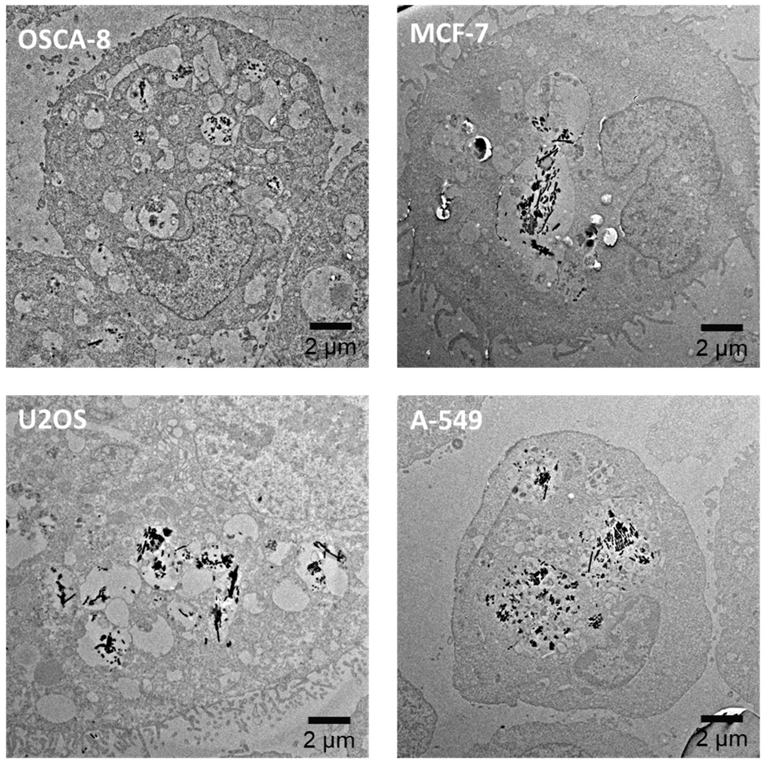 Nanomaterials 10 01662 g005 Nanomaterials 10 01662 g005
