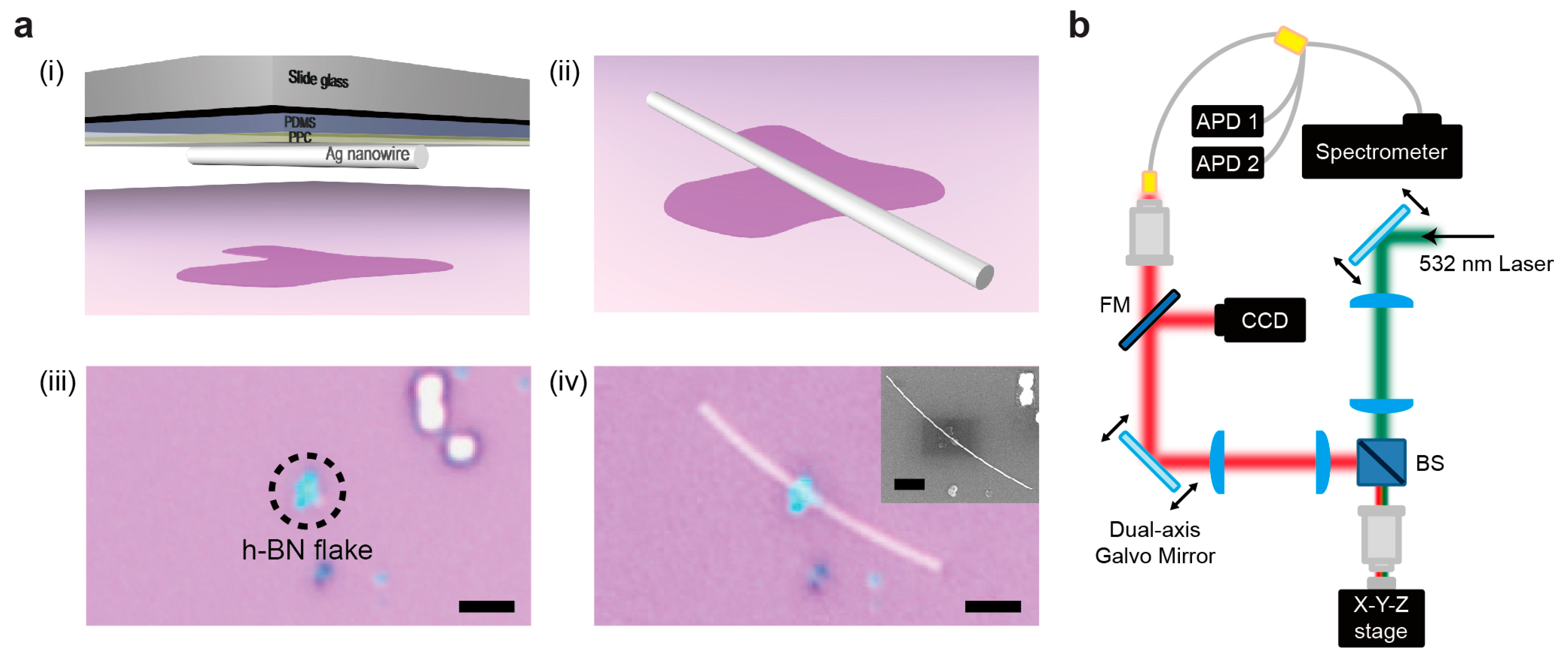 Nanomaterials 10 01663 g004 Nanomaterials 10 01663 g004