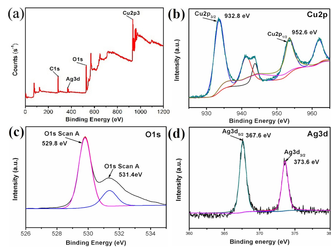 Nanomaterials 10 01664 g002