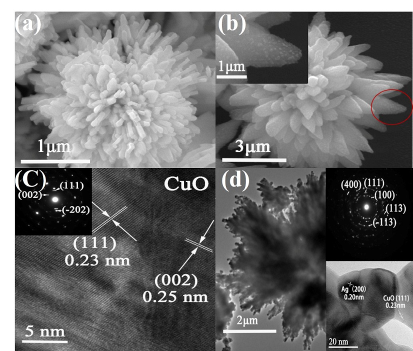 Nanomaterials 10 01664 g003