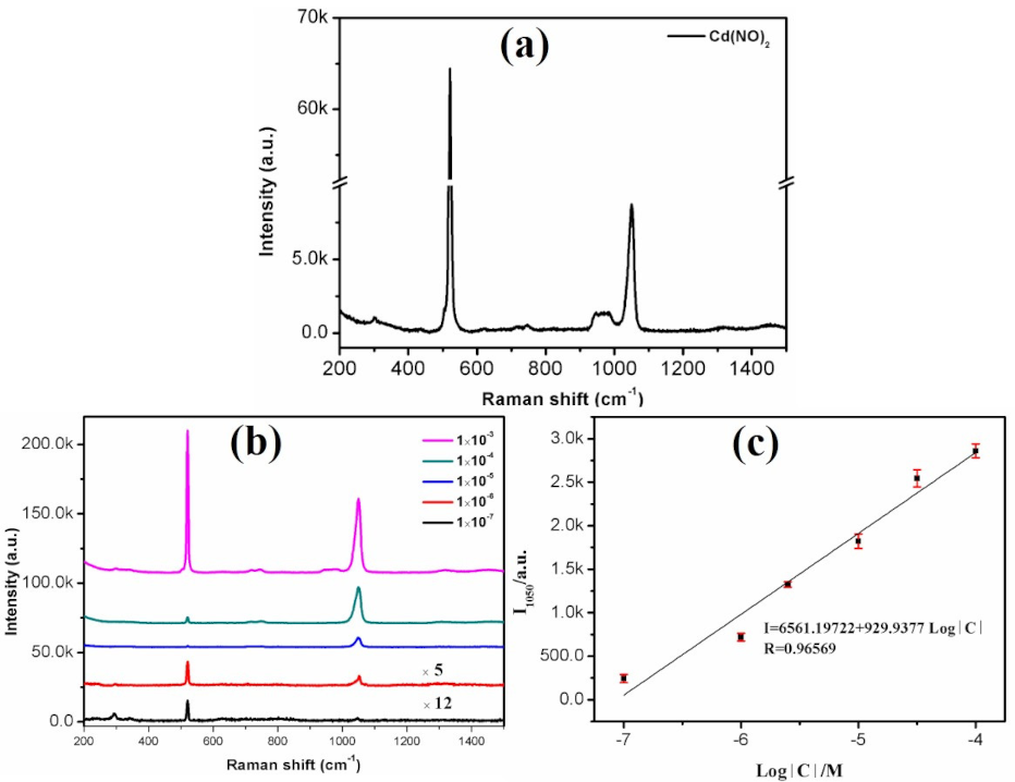 Nanomaterials 10 01664 g006