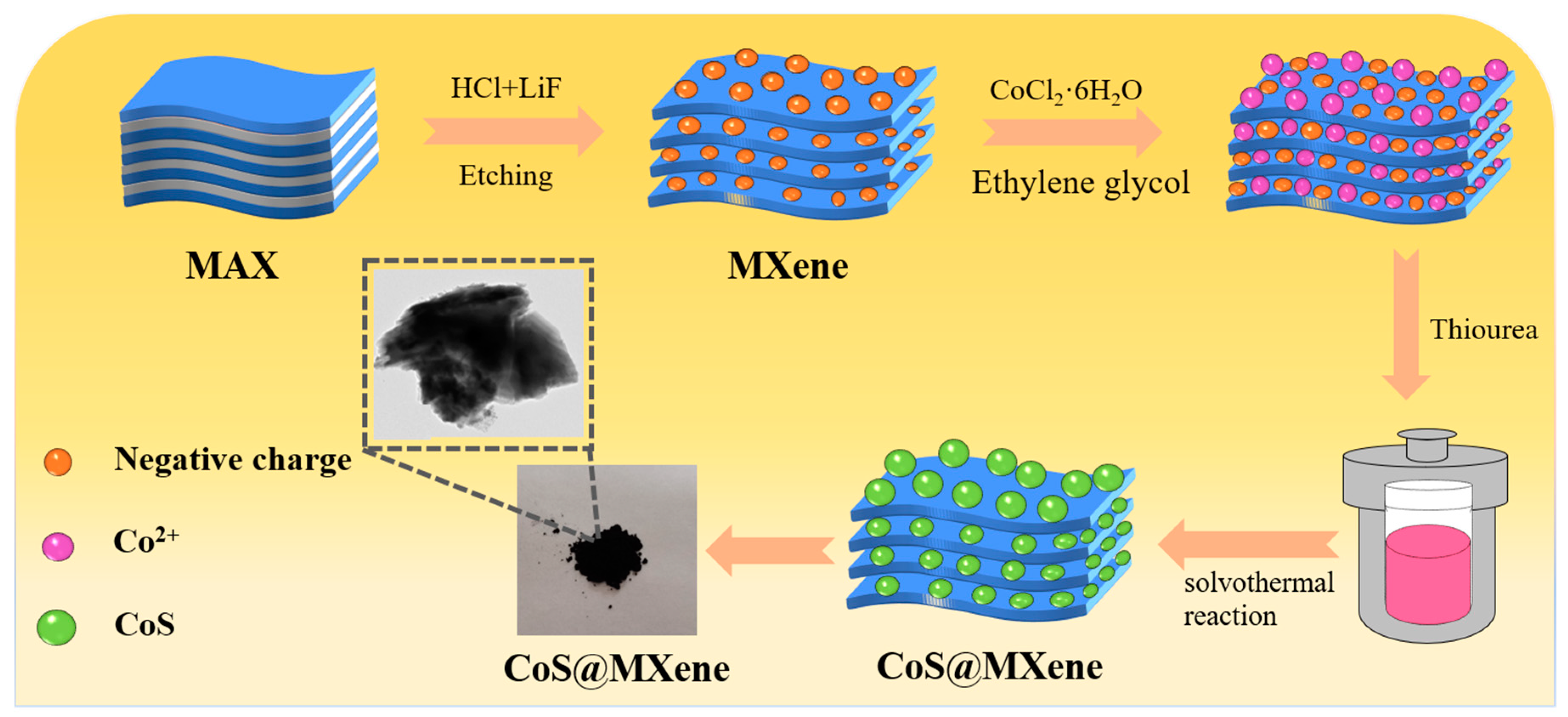 Nanomaterials 10 01666 g001