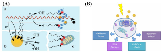 Nanomaterials 10 01671 g006 550