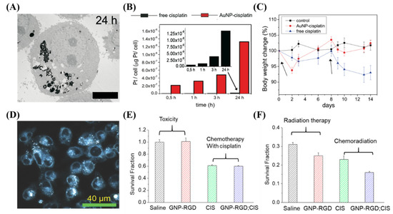 Nanomaterials 10 01671 g007 550