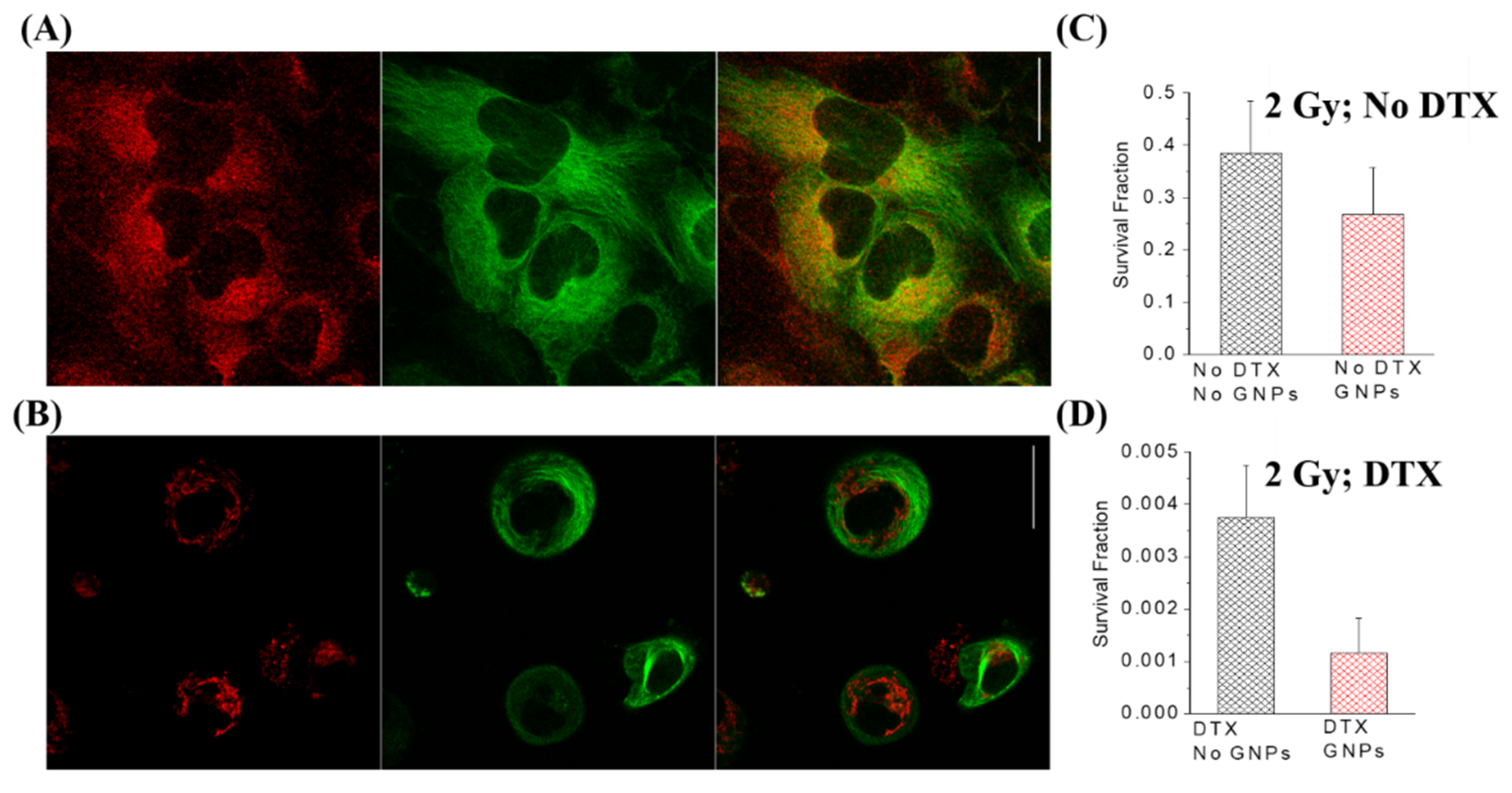 Nanomaterials 10 01671 g008
