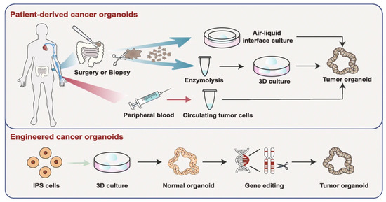 Nanomaterials 10 01671 g010 550