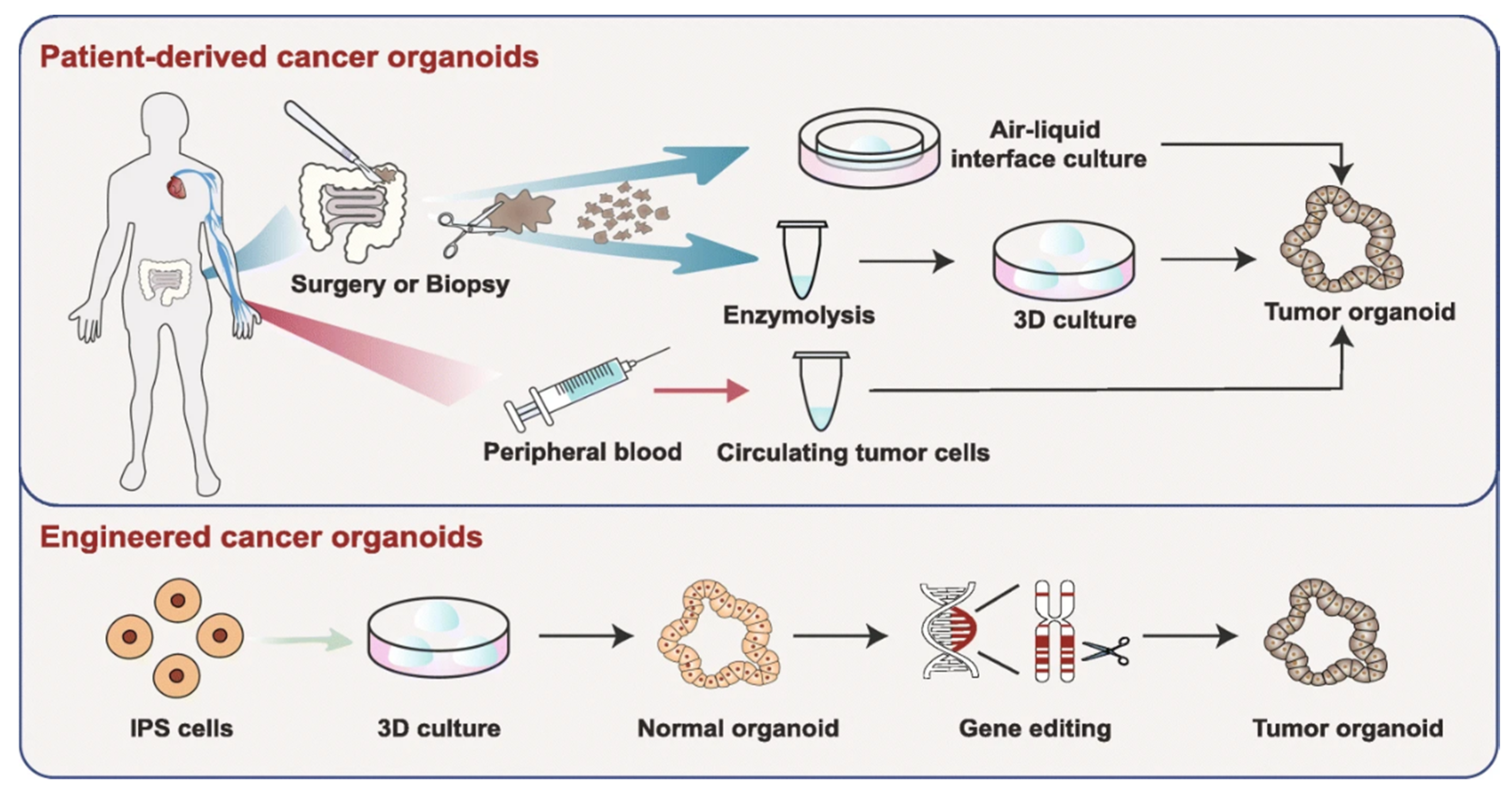 Nanomaterials 10 01671 g010
