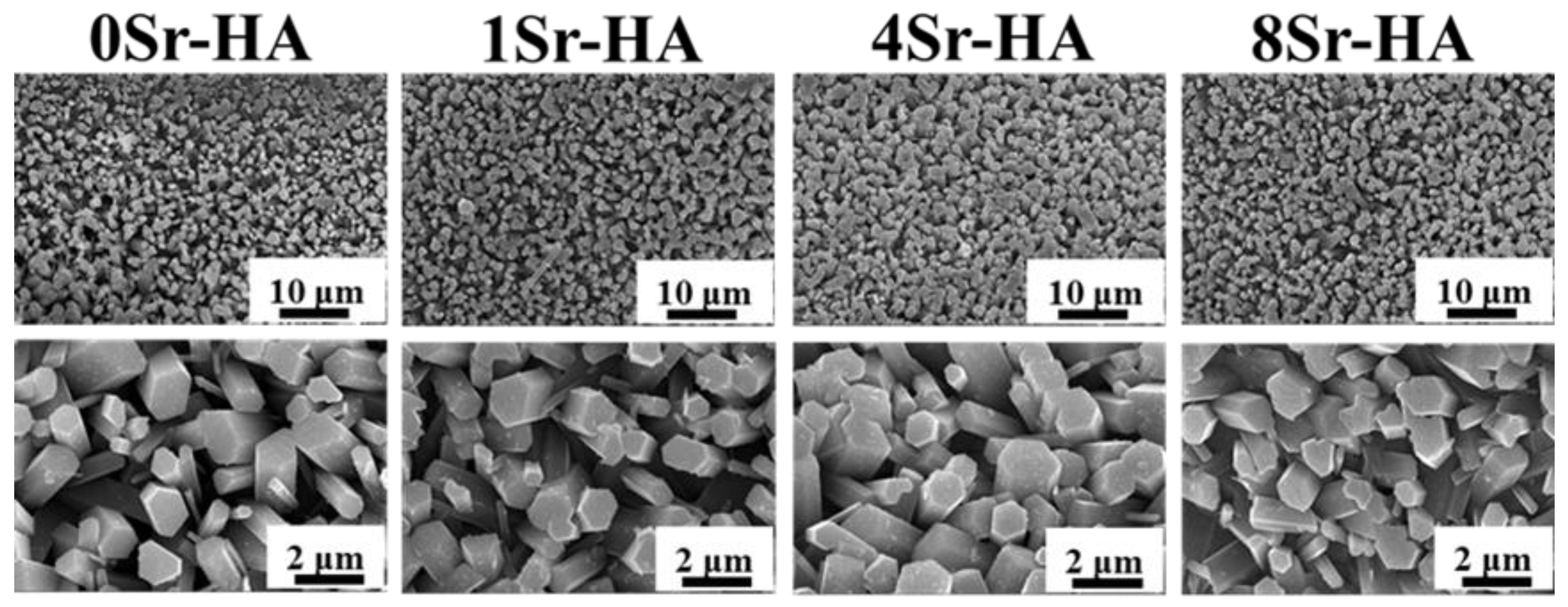 Nanomaterials 10 01672 g002 Nanomaterials 10 01672 g002