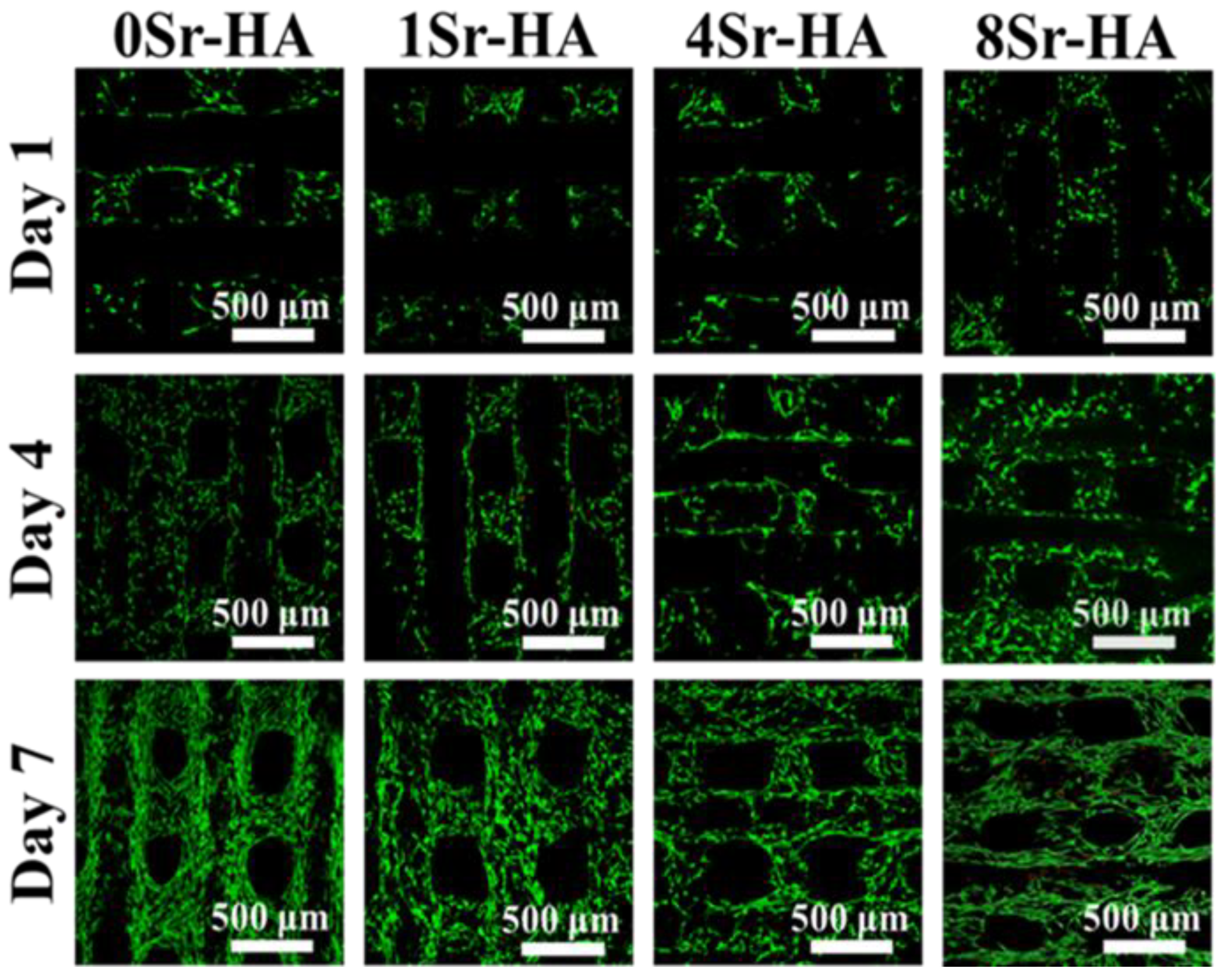 Nanomaterials 10 01672 g006 Nanomaterials 10 01672 g006