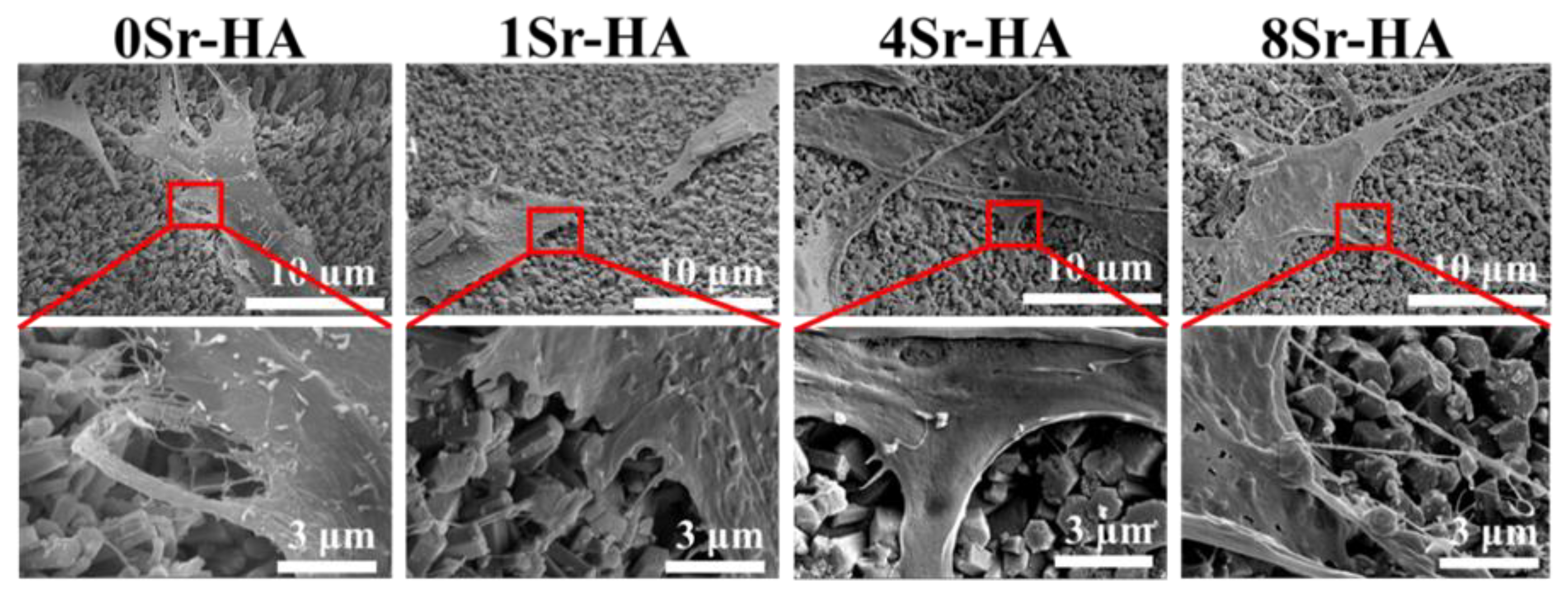 Nanomaterials 10 01672 g008 Nanomaterials 10 01672 g008