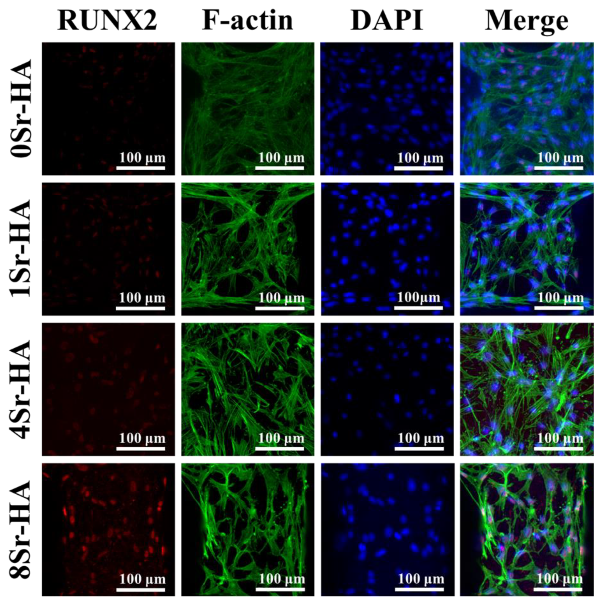 Nanomaterials 10 01672 g010 Nanomaterials 10 01672 g010