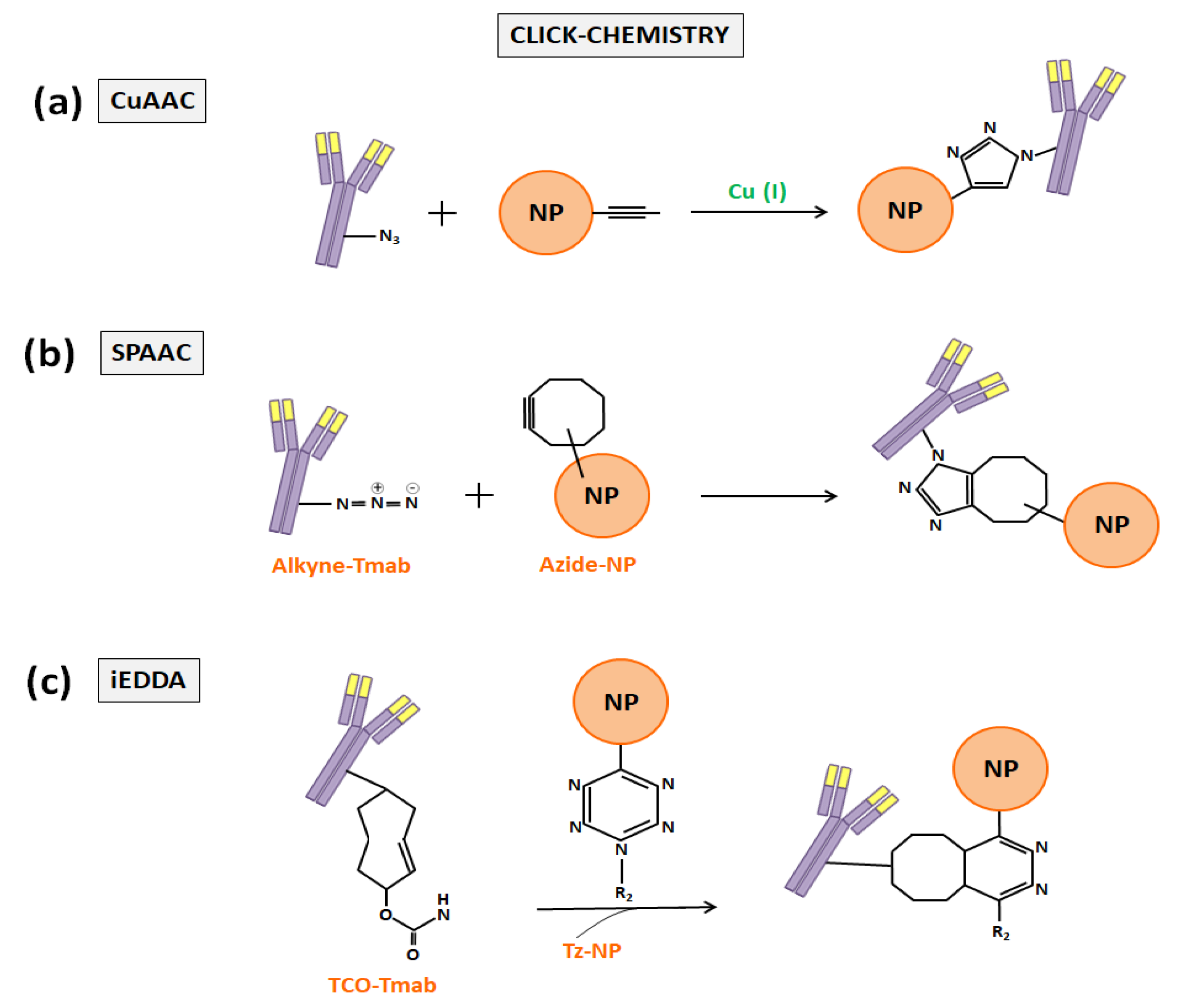 Nanomaterials 10 01674 g005