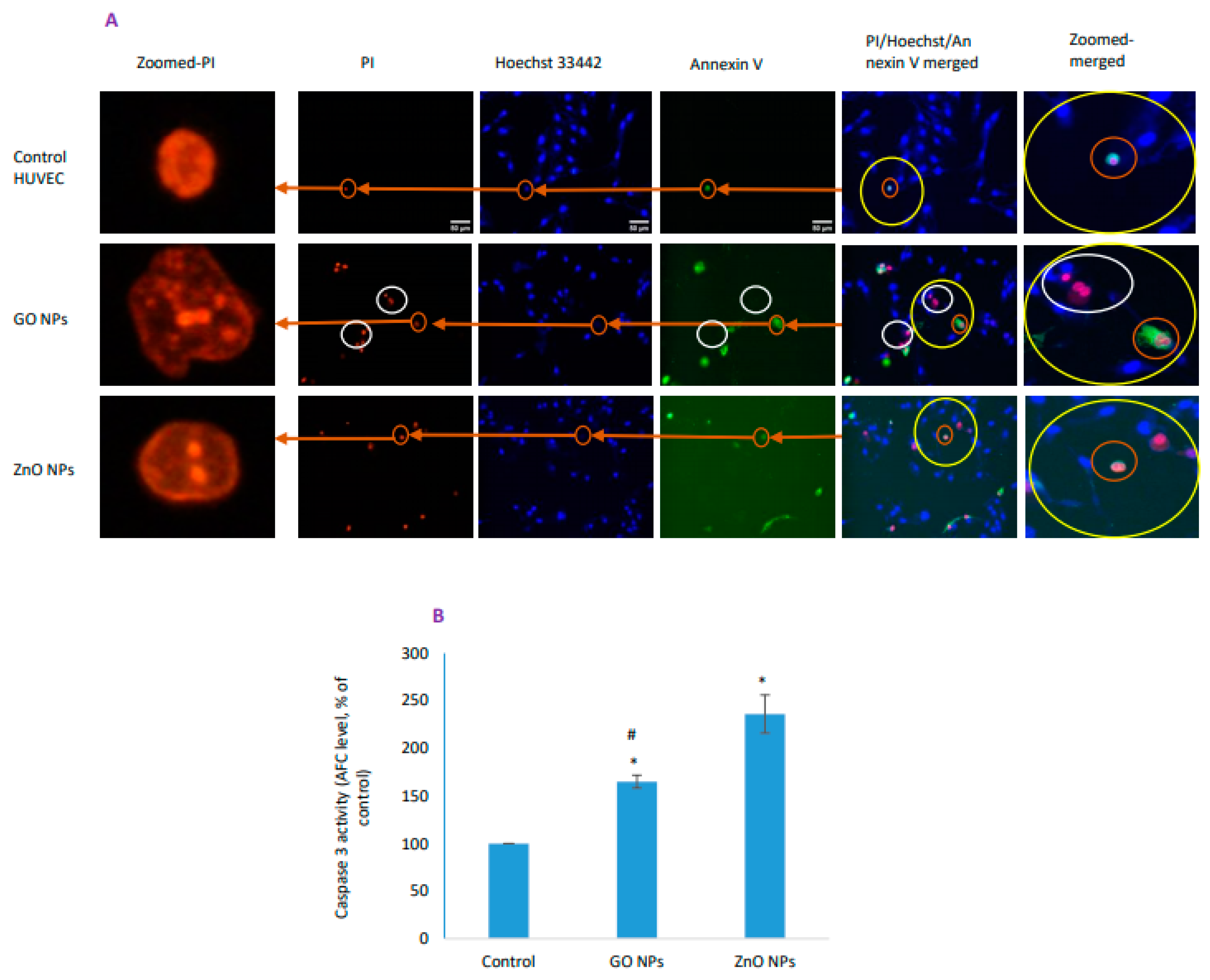Nanomaterials 10 01675 g006 Nanomaterials 10 01675 g006