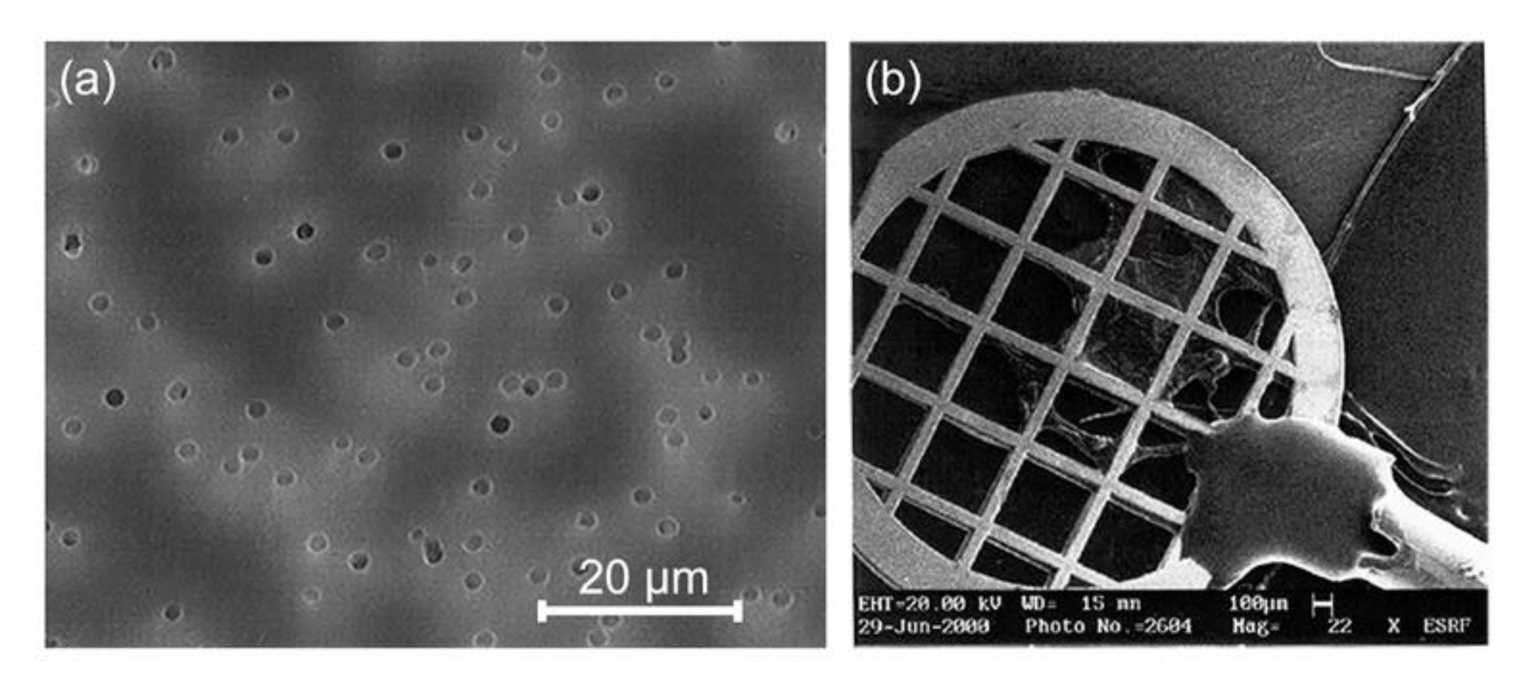 Nanomaterials 10 01679 g019 Nanomaterials 10 01679 g019