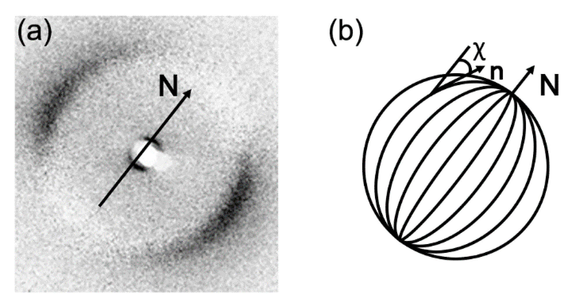 Nanomaterials 10 01679 g022 Nanomaterials 10 01679 g022