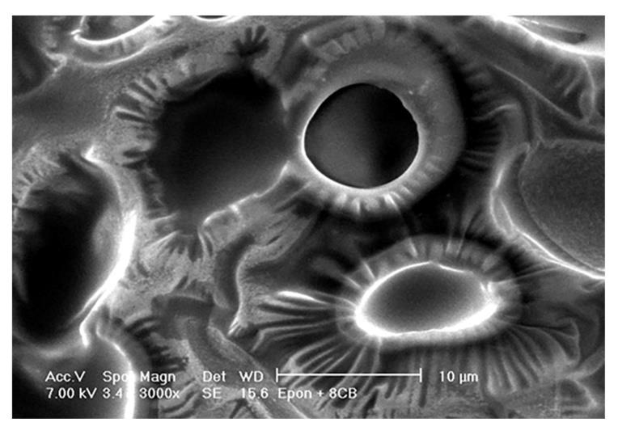 Nanomaterials 10 01679 g026 Nanomaterials 10 01679 g026