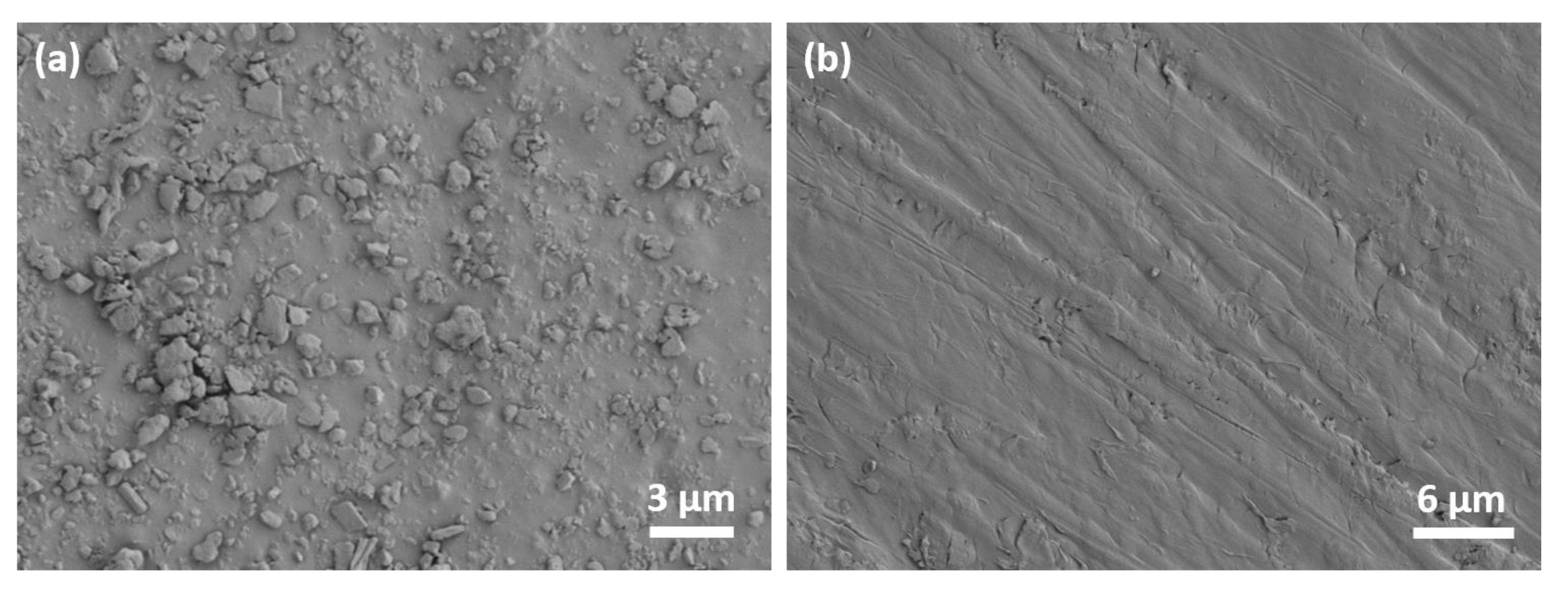 Nanomaterials 10 01682 g011 Nanomaterials 10 01682 g011