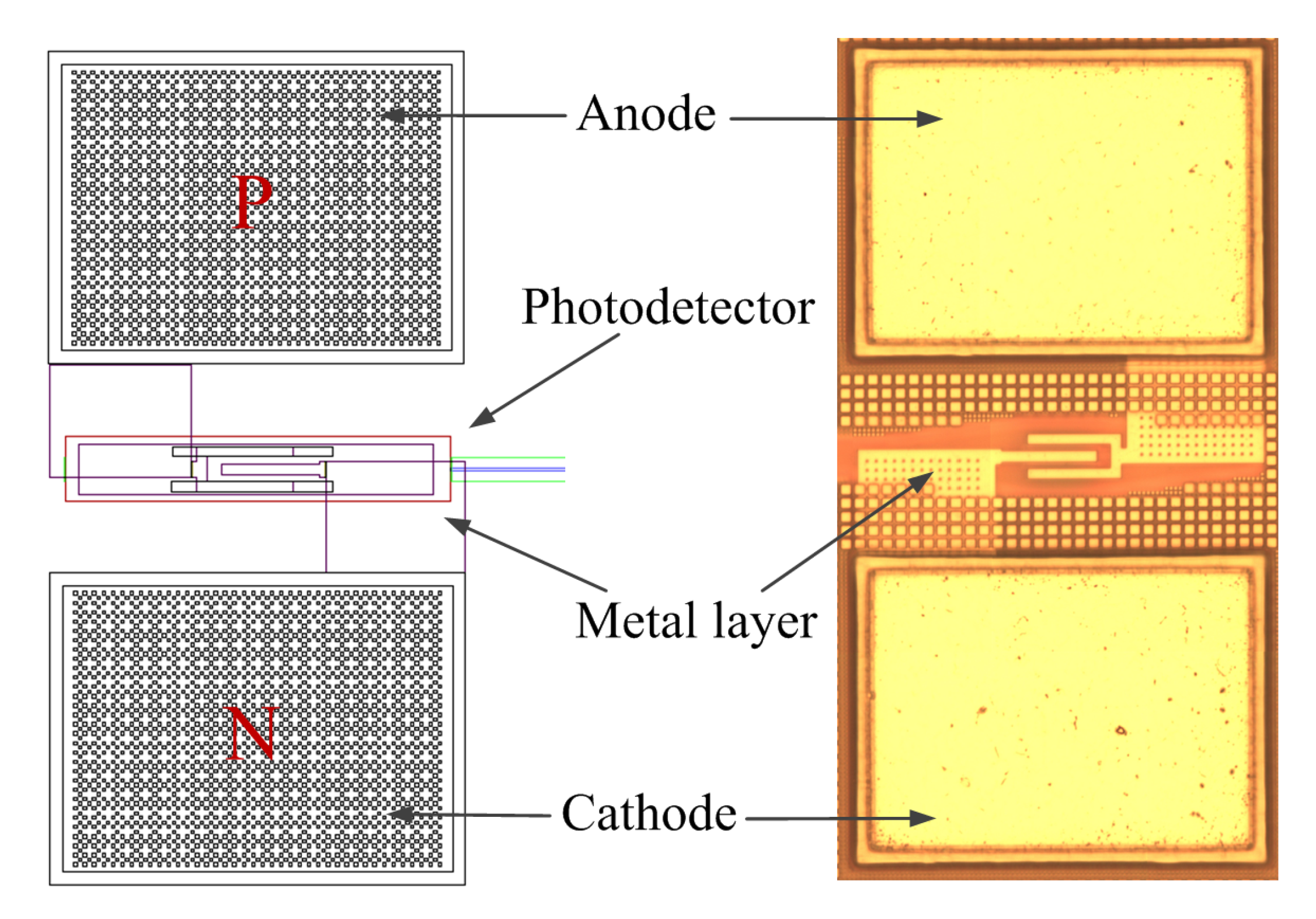 Nanomaterials 10 01683 g005