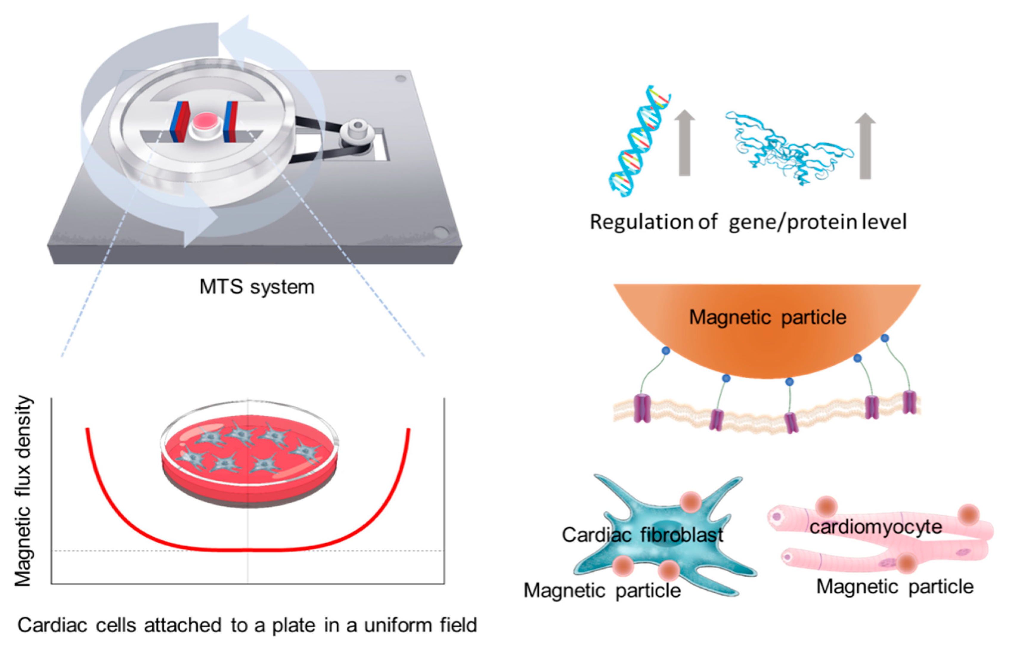 Nanomaterials Free FullText Development of Torque