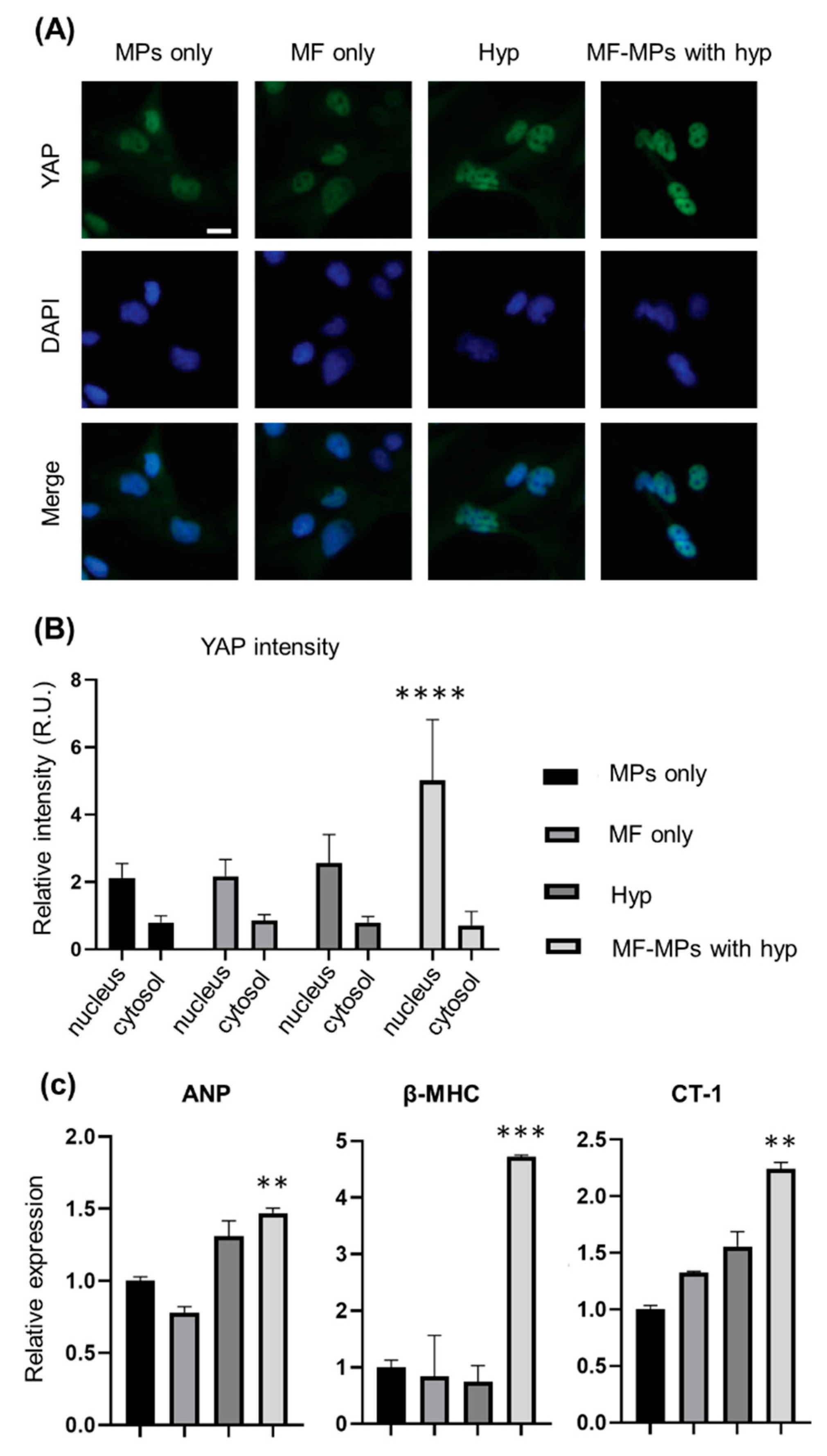 Nanomaterials 10 01684 g003 Nanomaterials 10 01684 g003