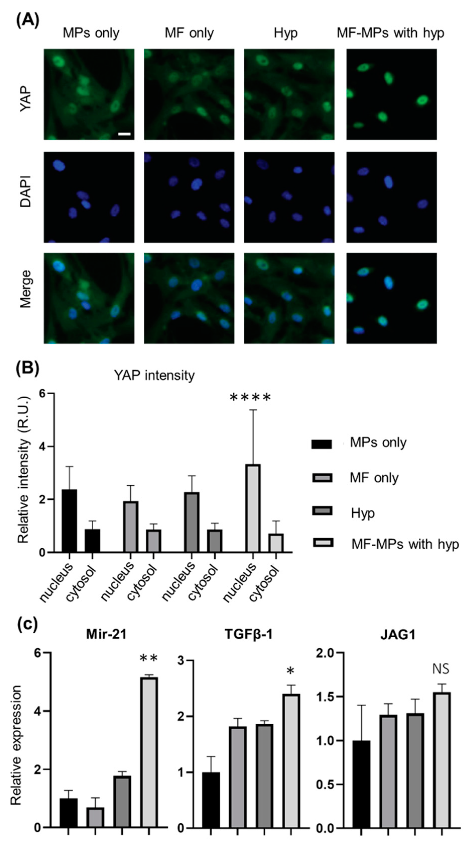 Nanomaterials 10 01684 g004 Nanomaterials 10 01684 g004