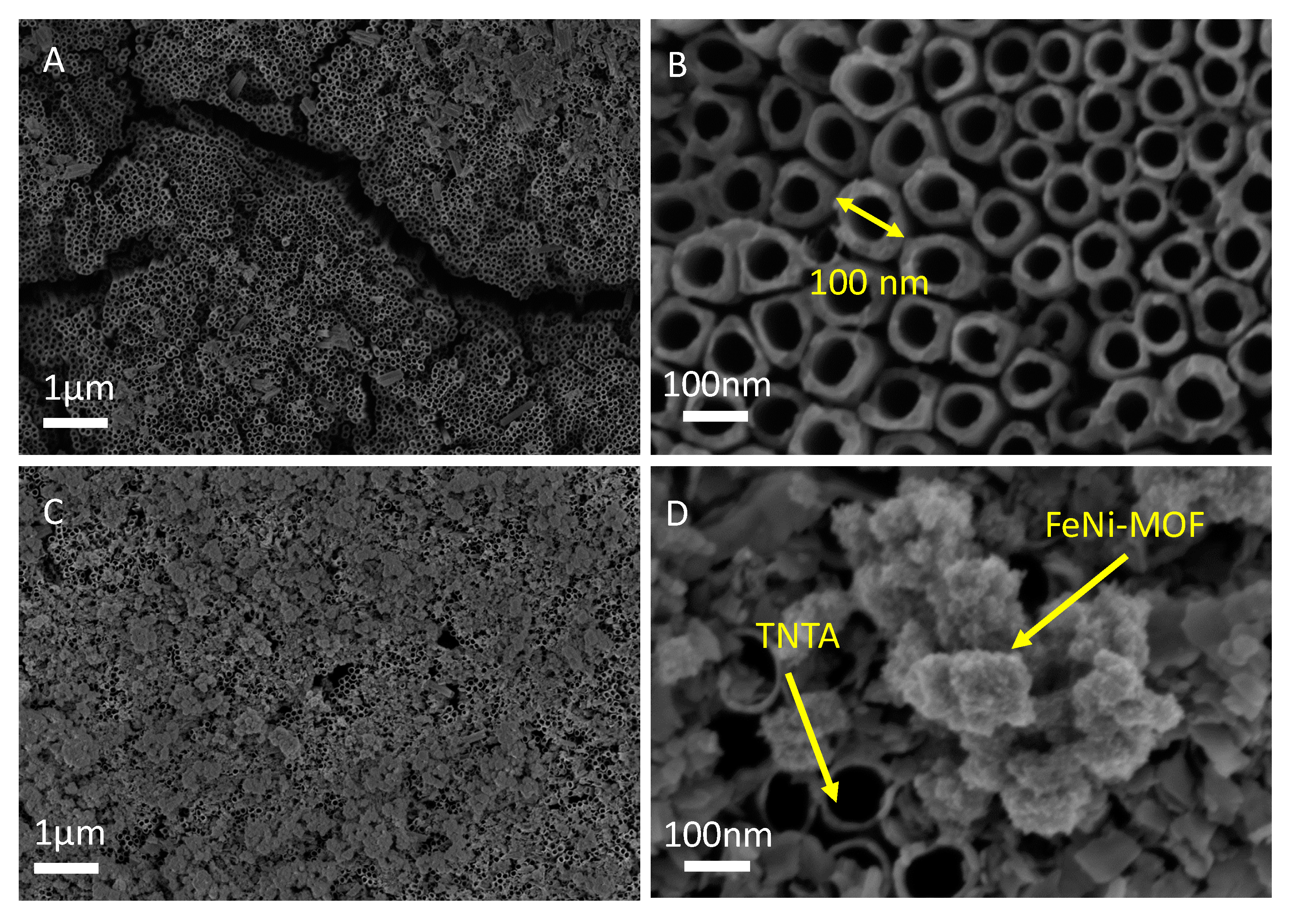 Nanomaterials 10 01688 g001 Nanomaterials 10 01688 g001