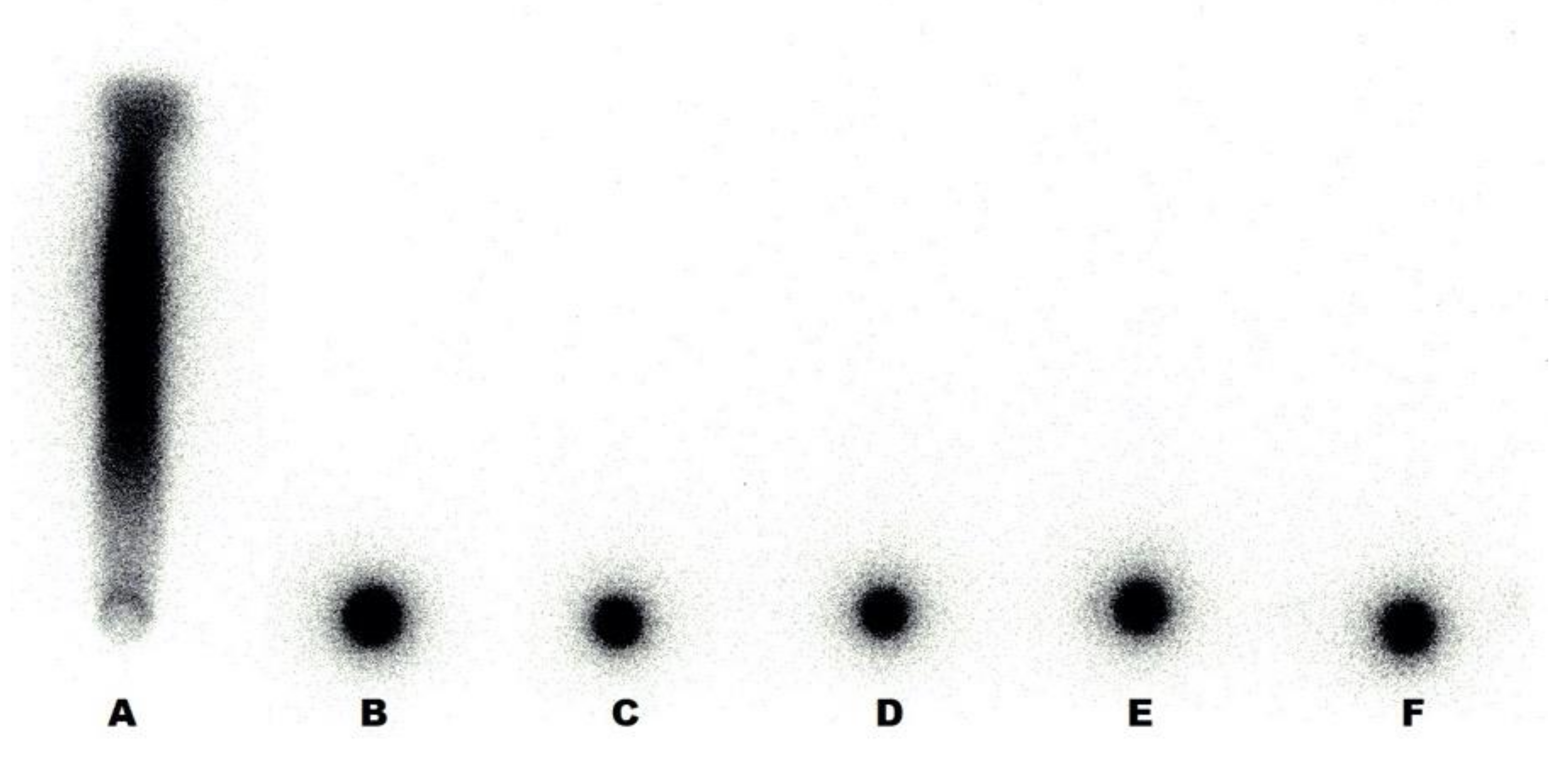 Nanomaterials 10 01690 g002 Nanomaterials 10 01690 g002
