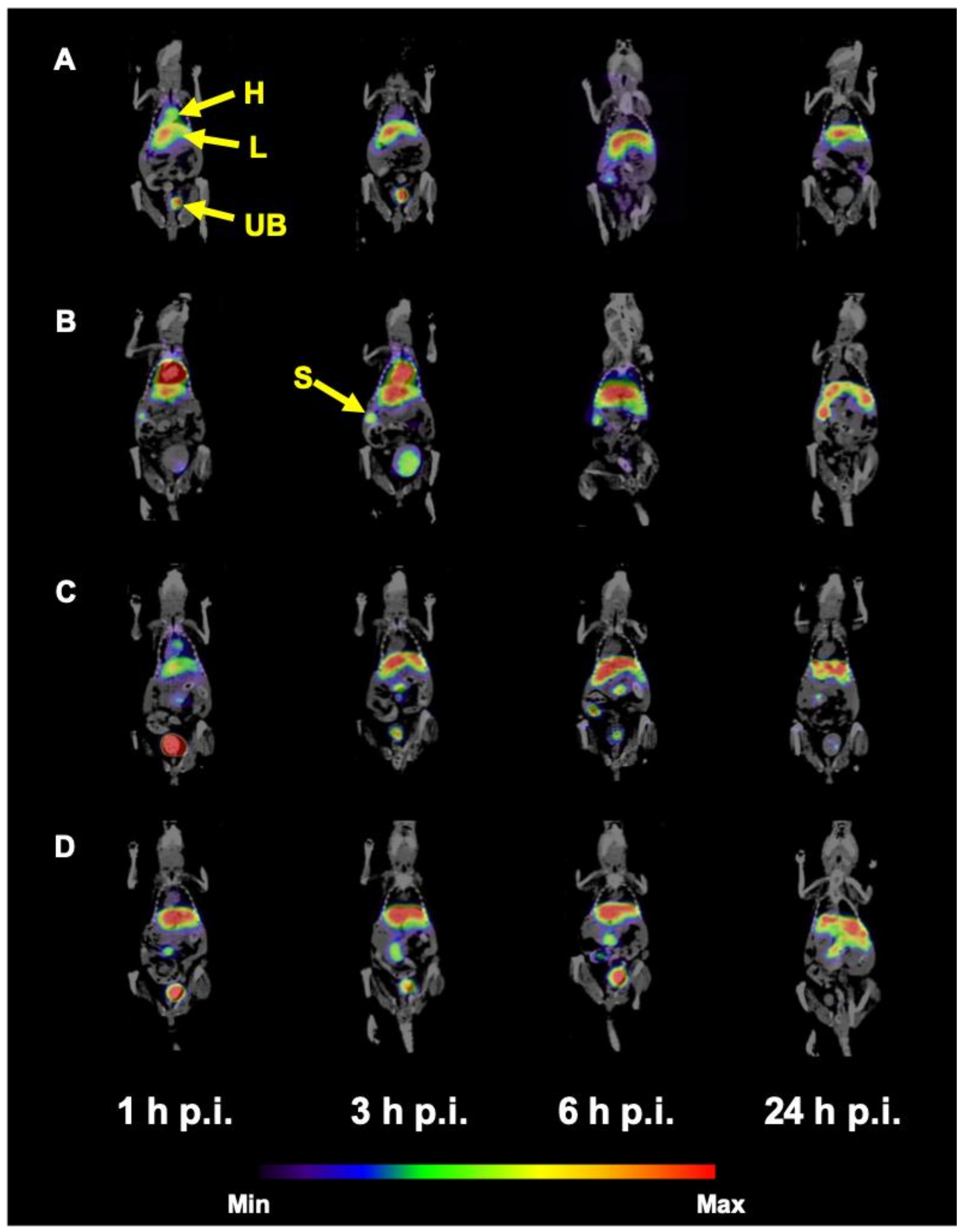 Nanomaterials 10 01690 g007 Nanomaterials 10 01690 g007