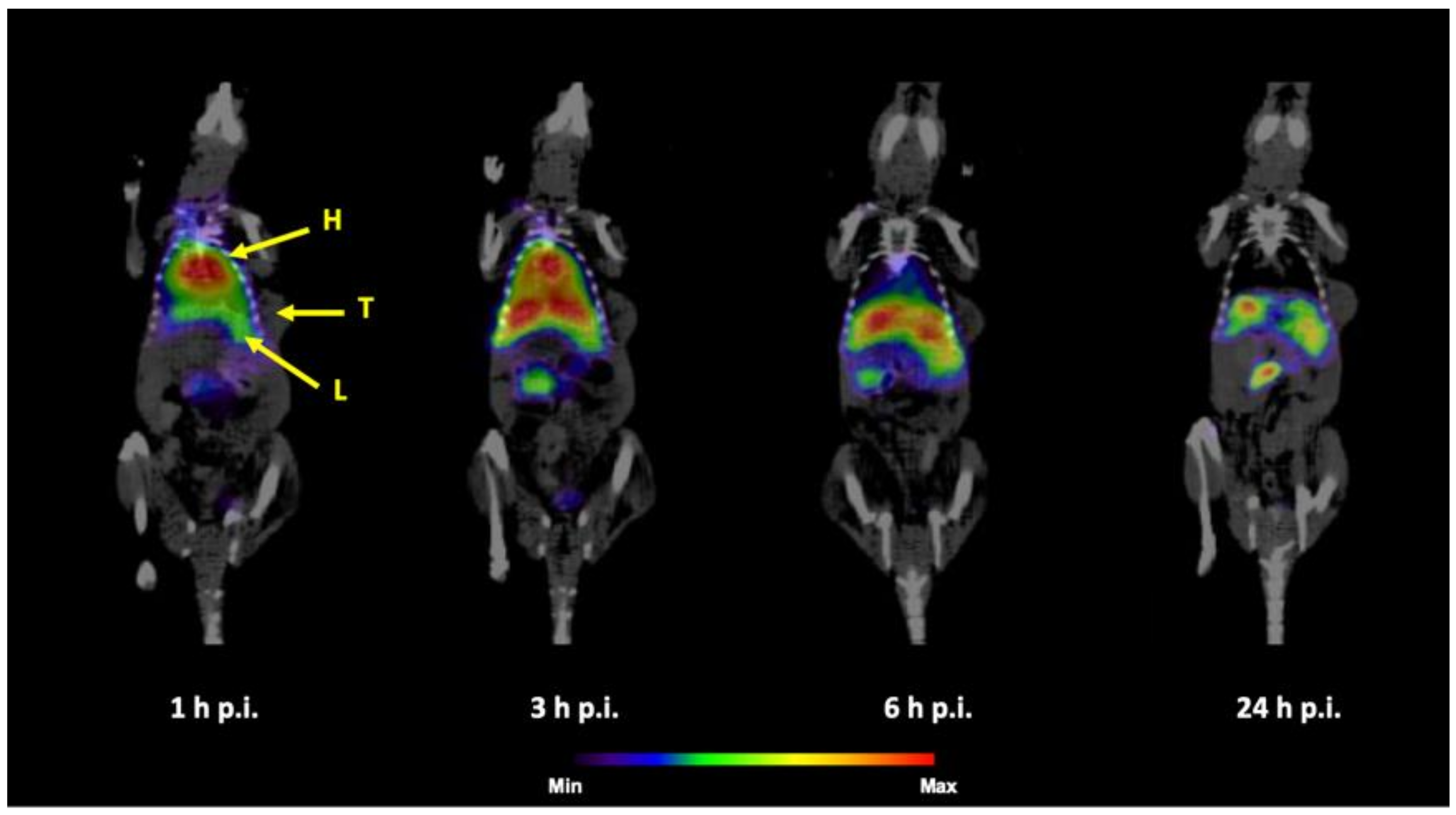 Nanomaterials 10 01690 g008 Nanomaterials 10 01690 g008