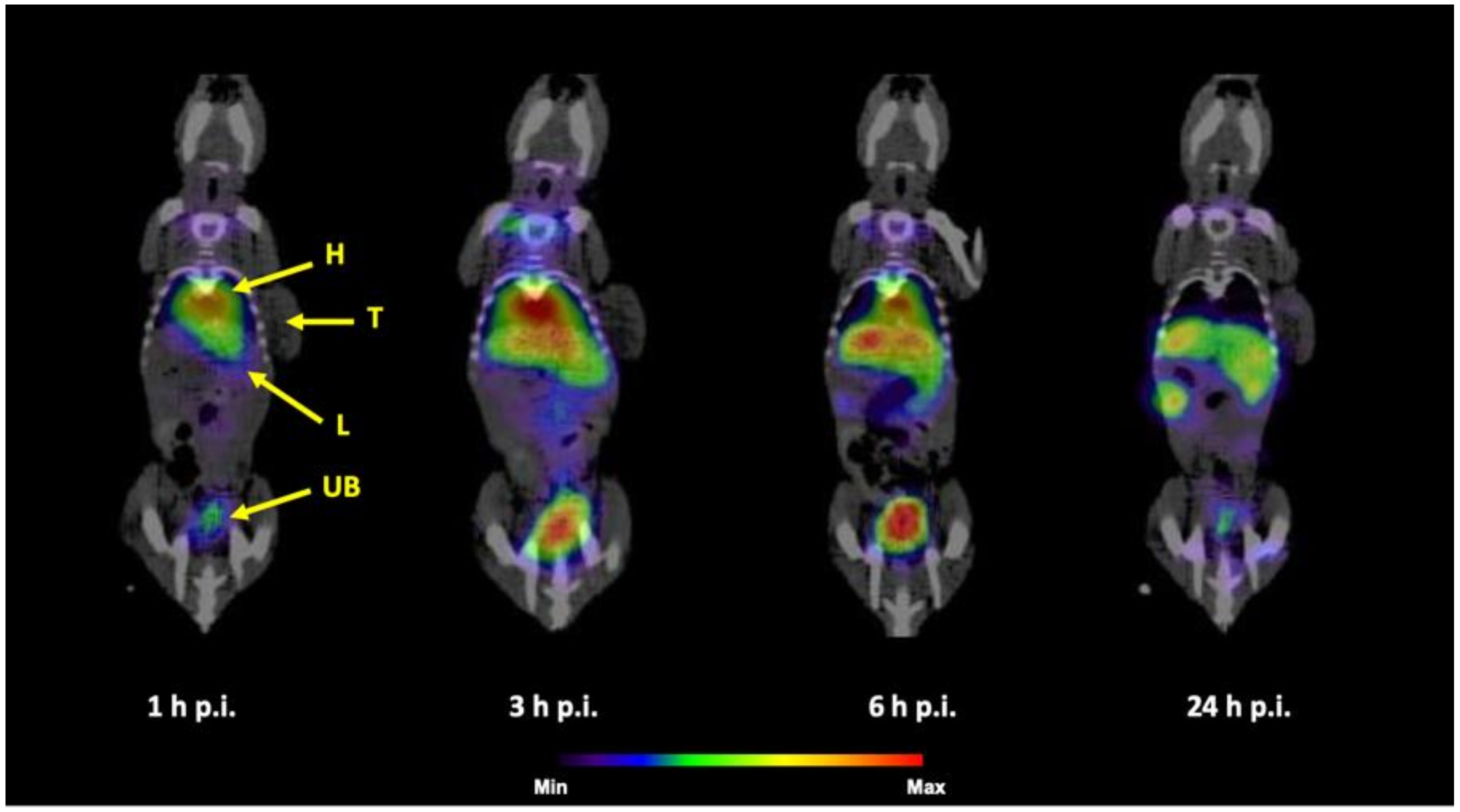 Nanomaterials 10 01690 g009 Nanomaterials 10 01690 g009