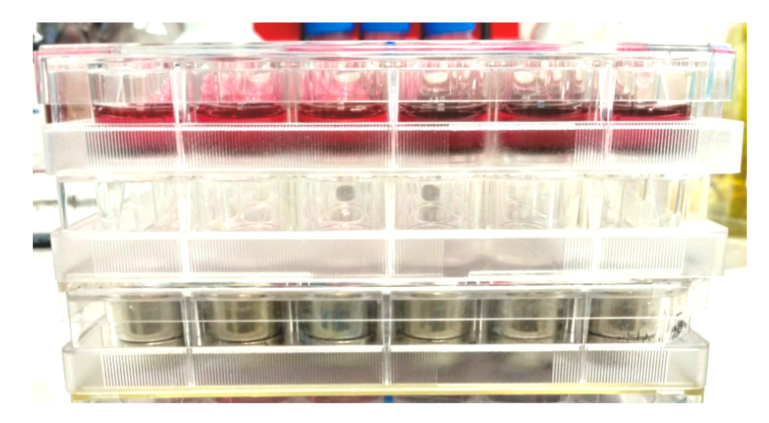 Nanomaterials 10 01697 g004