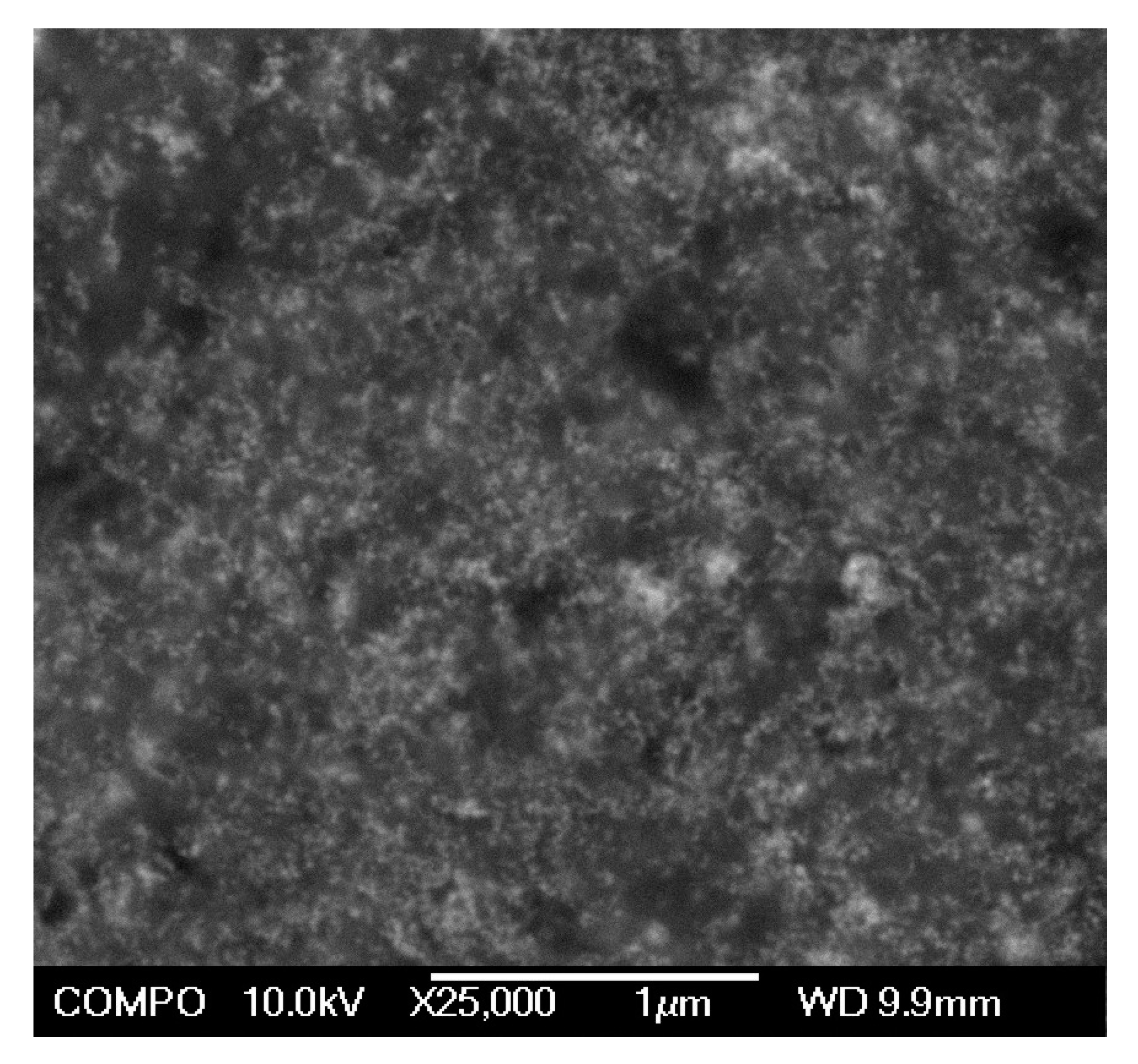 Nanomaterials 10 01697 g008