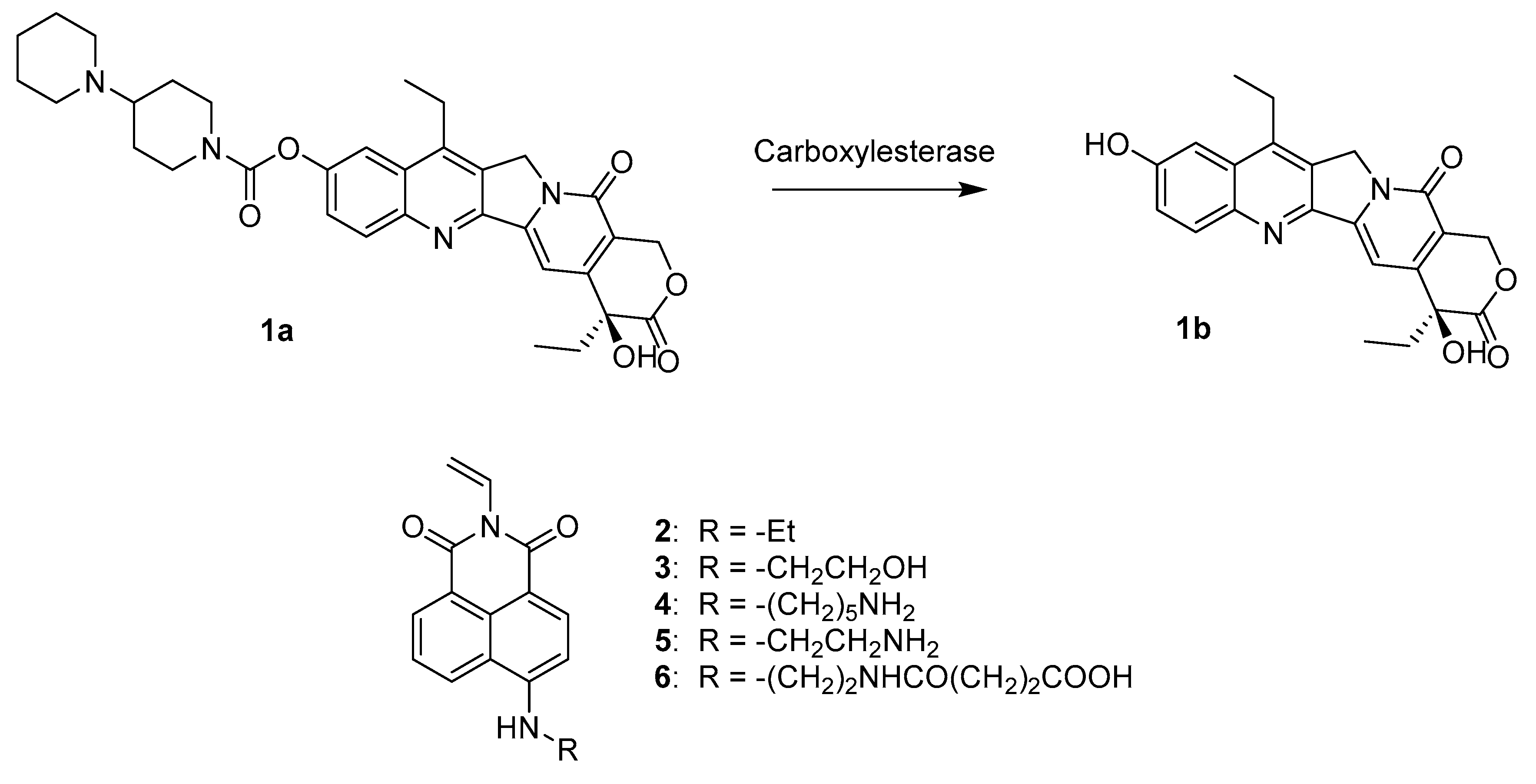 Nanomaterials 10 01707 g001