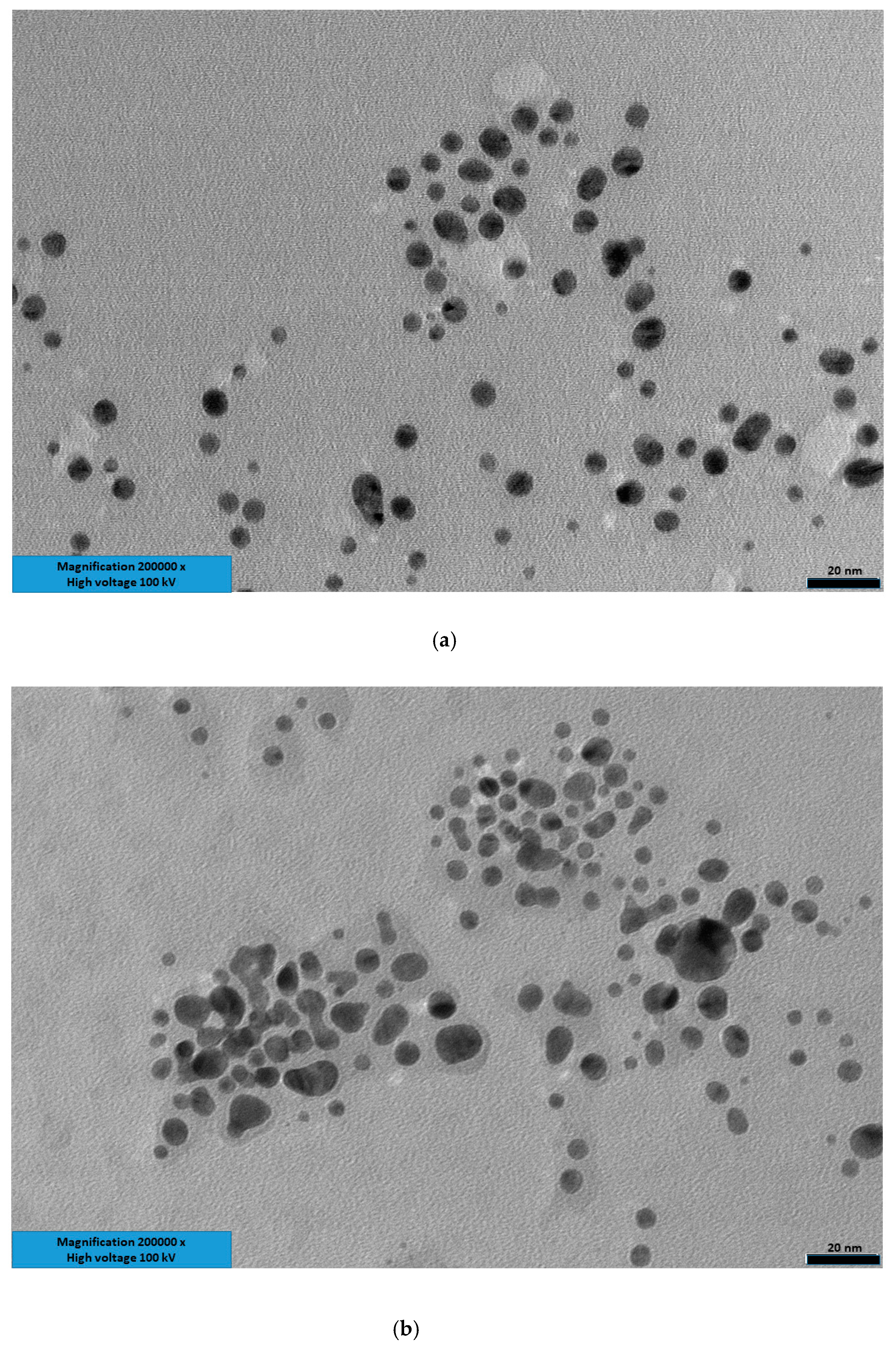 Nanomaterials 10 01707 g004